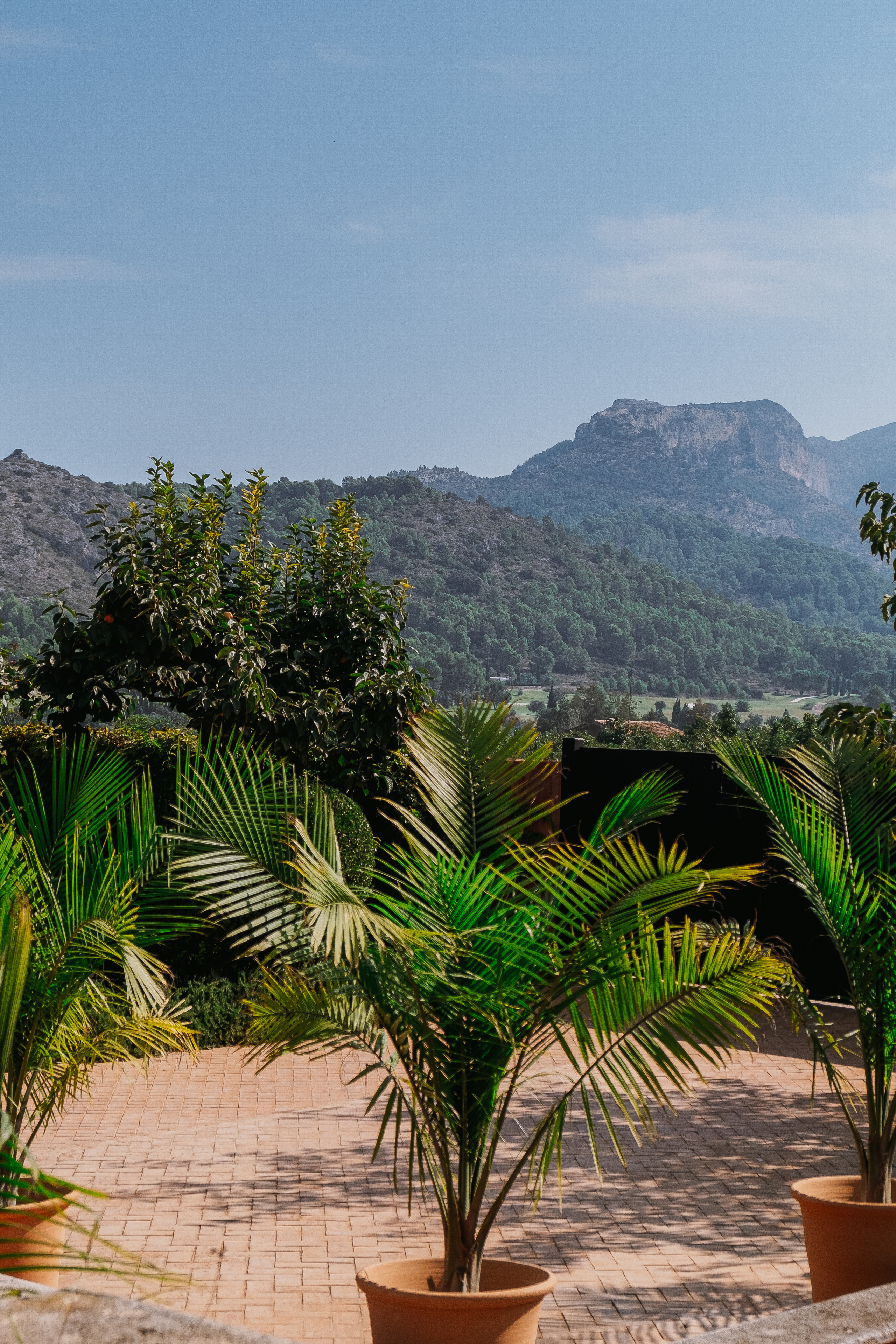 Jardí de l'Albarda (Сад l'Albarda)