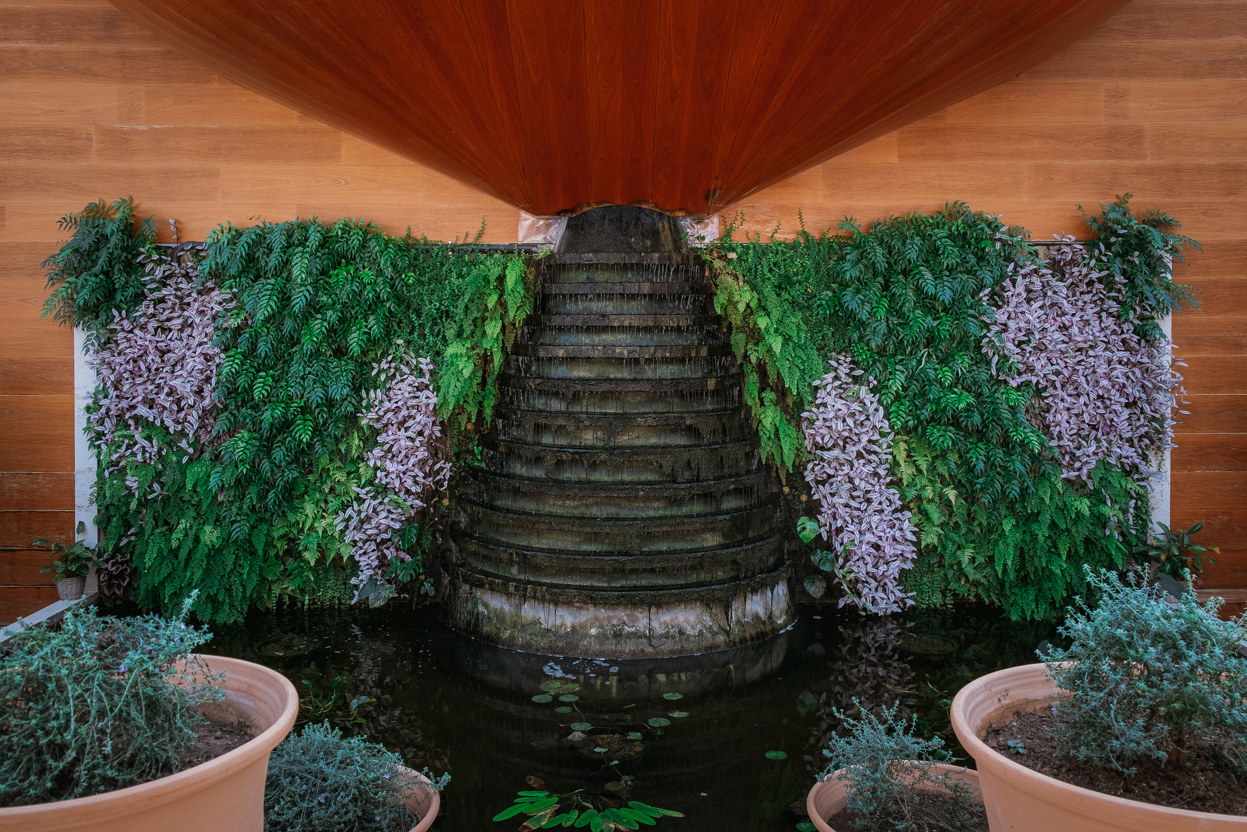 Jardí de l'Albarda (Сад l'Albarda)