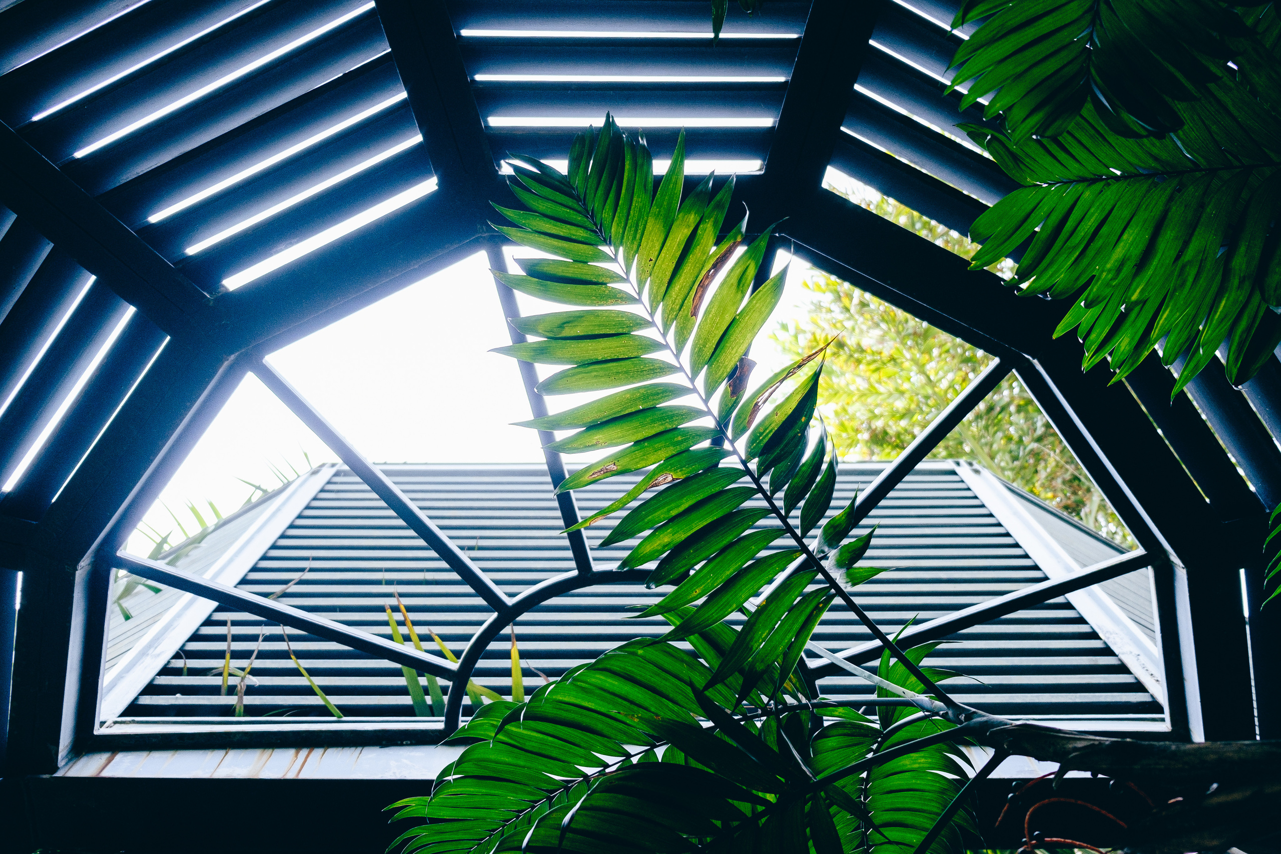 Jardí de l'Albarda (Сад l'Albarda)