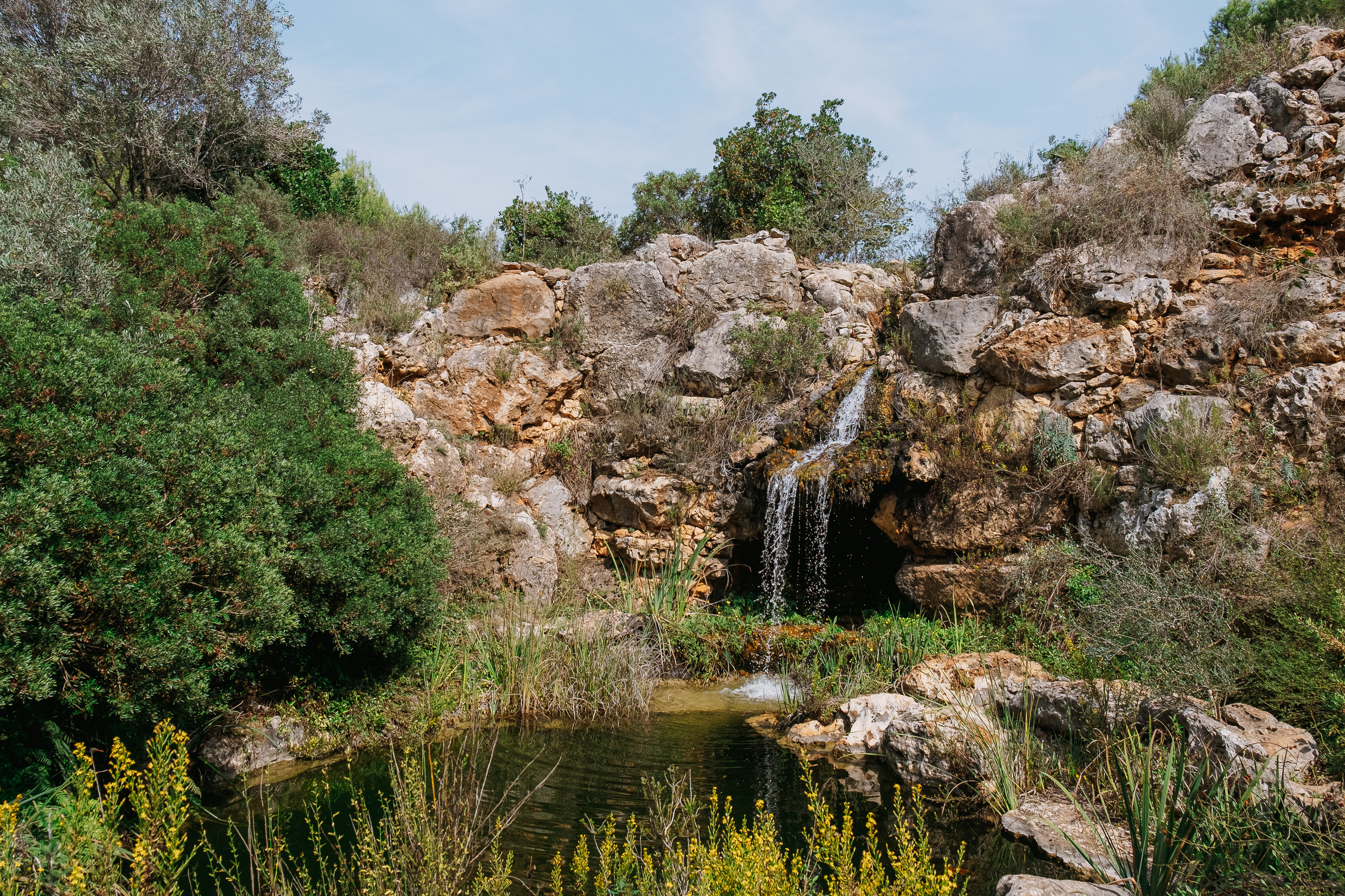 Jardí de l'Albarda (Сад l'Albarda)