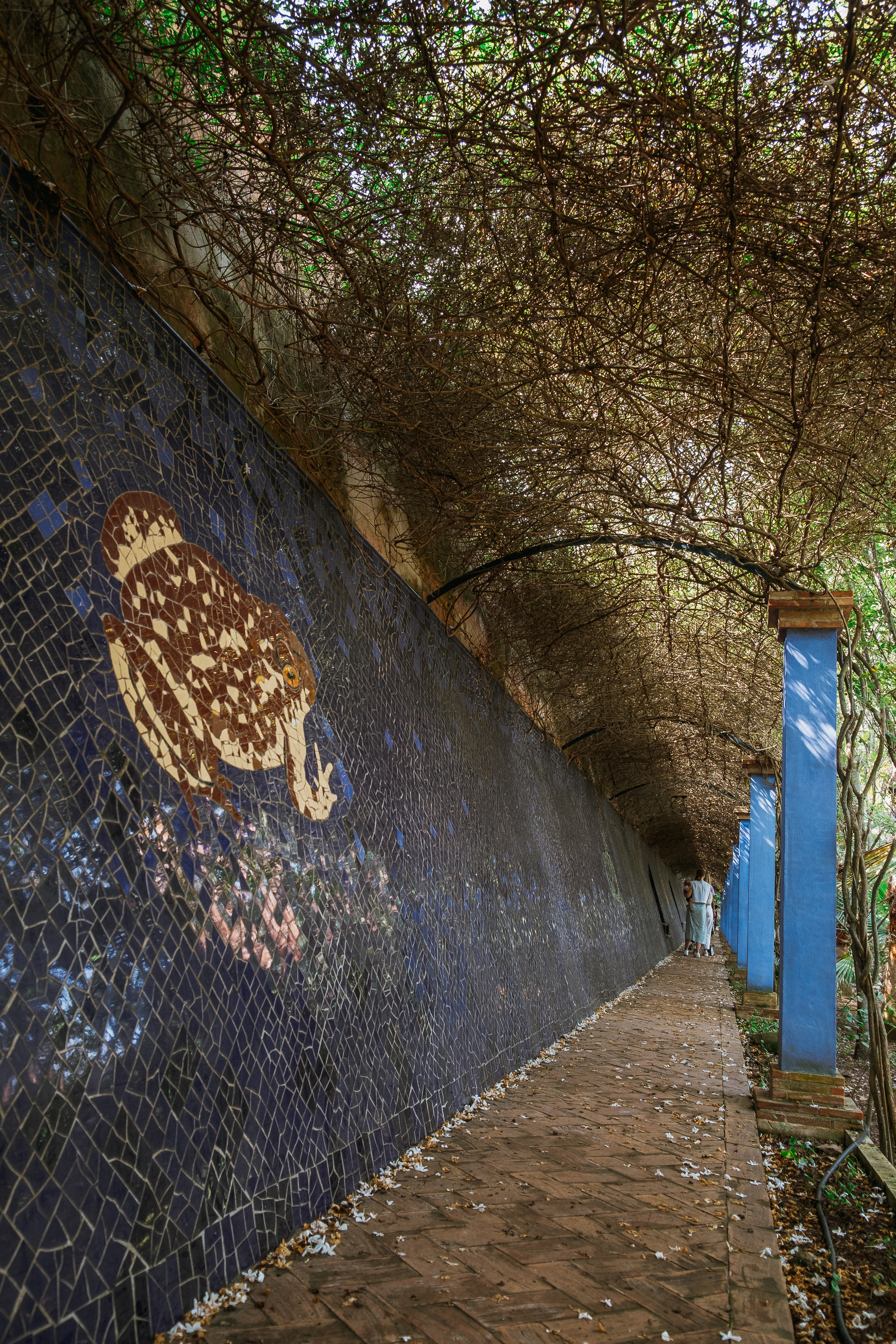 Jardí de l'Albarda (Сад l'Albarda)