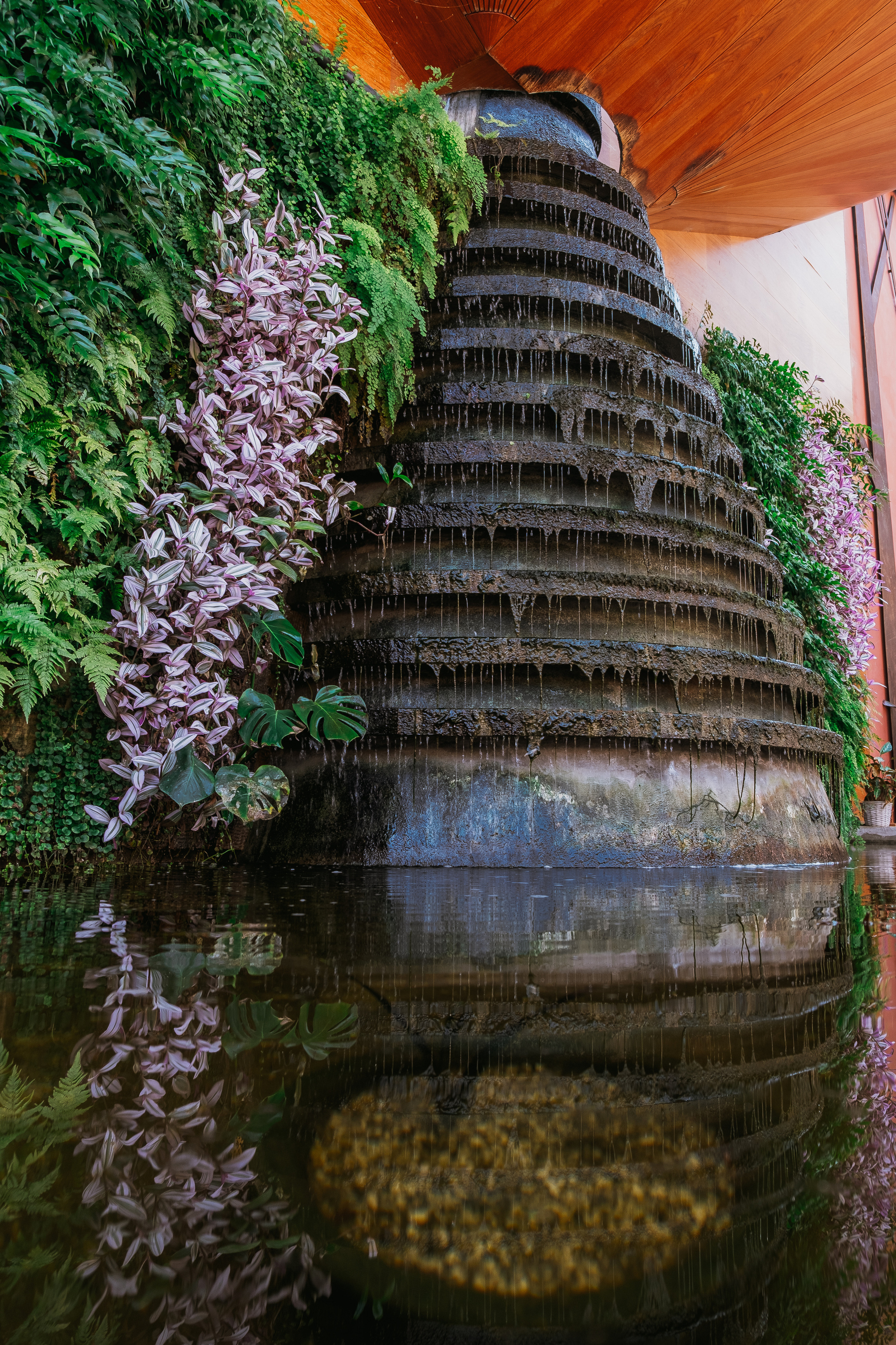 Jardí de l'Albarda (Сад l'Albarda)