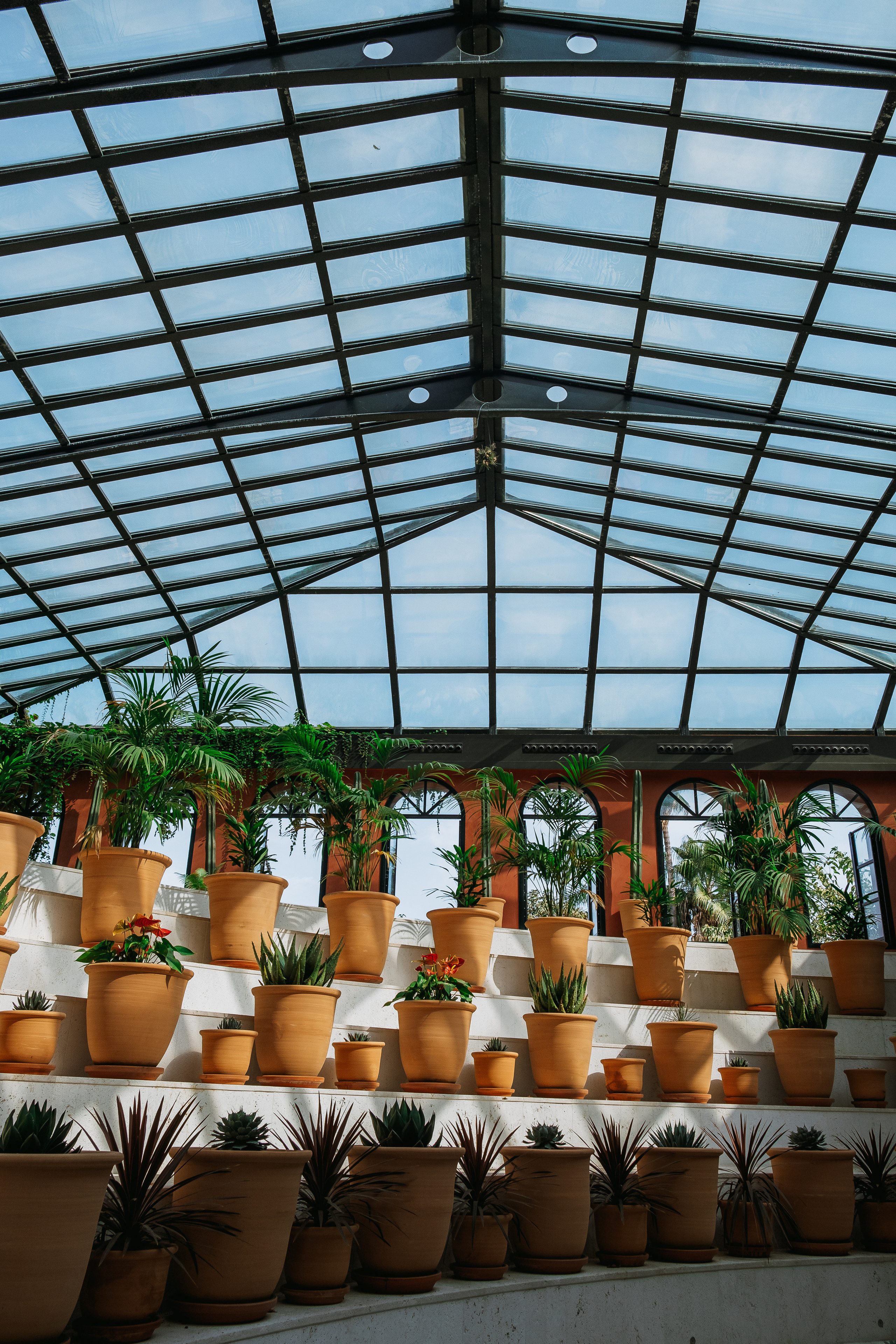 Jardí de l'Albarda (Сад l'Albarda)