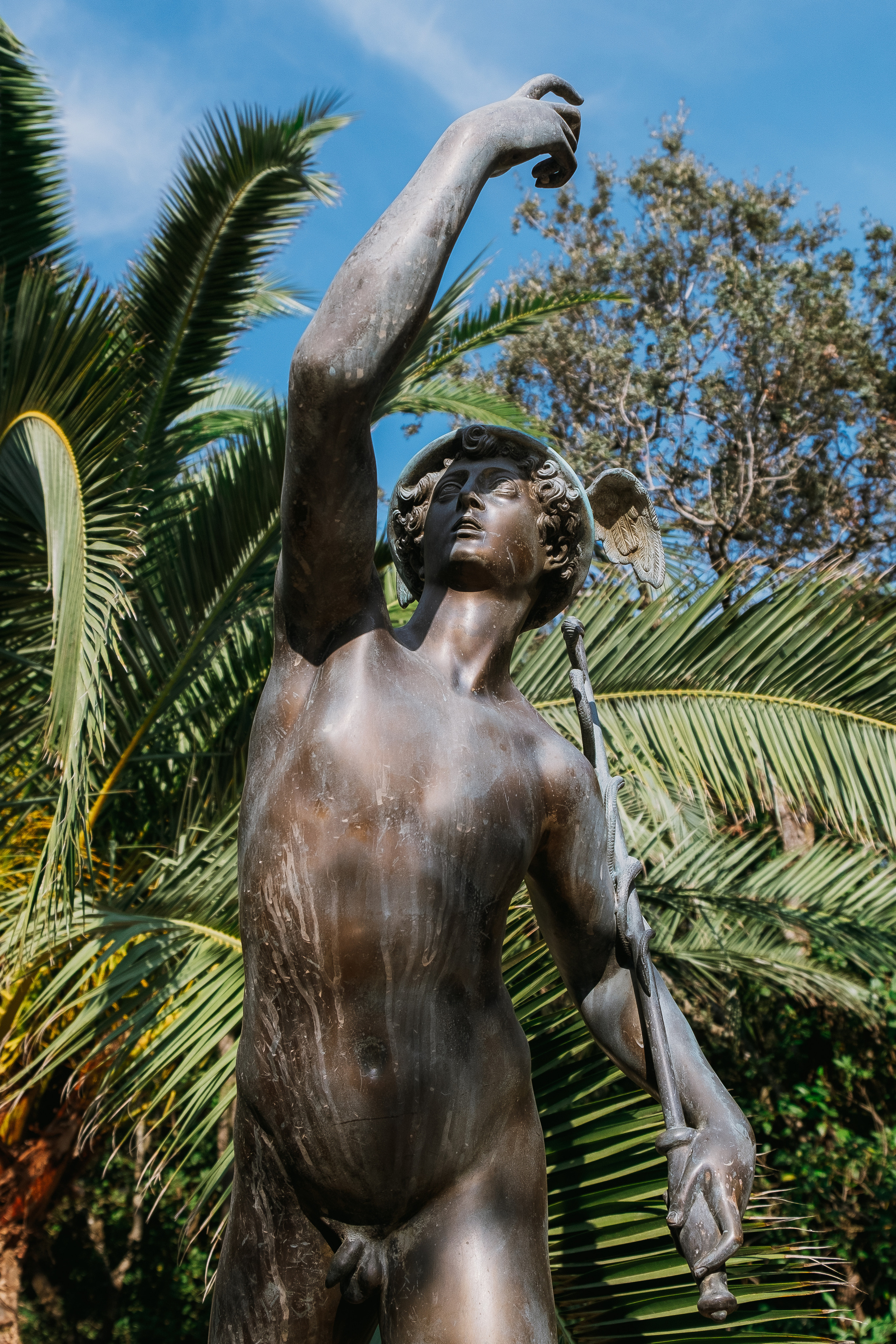 Jardí de l'Albarda (Сад l'Albarda)