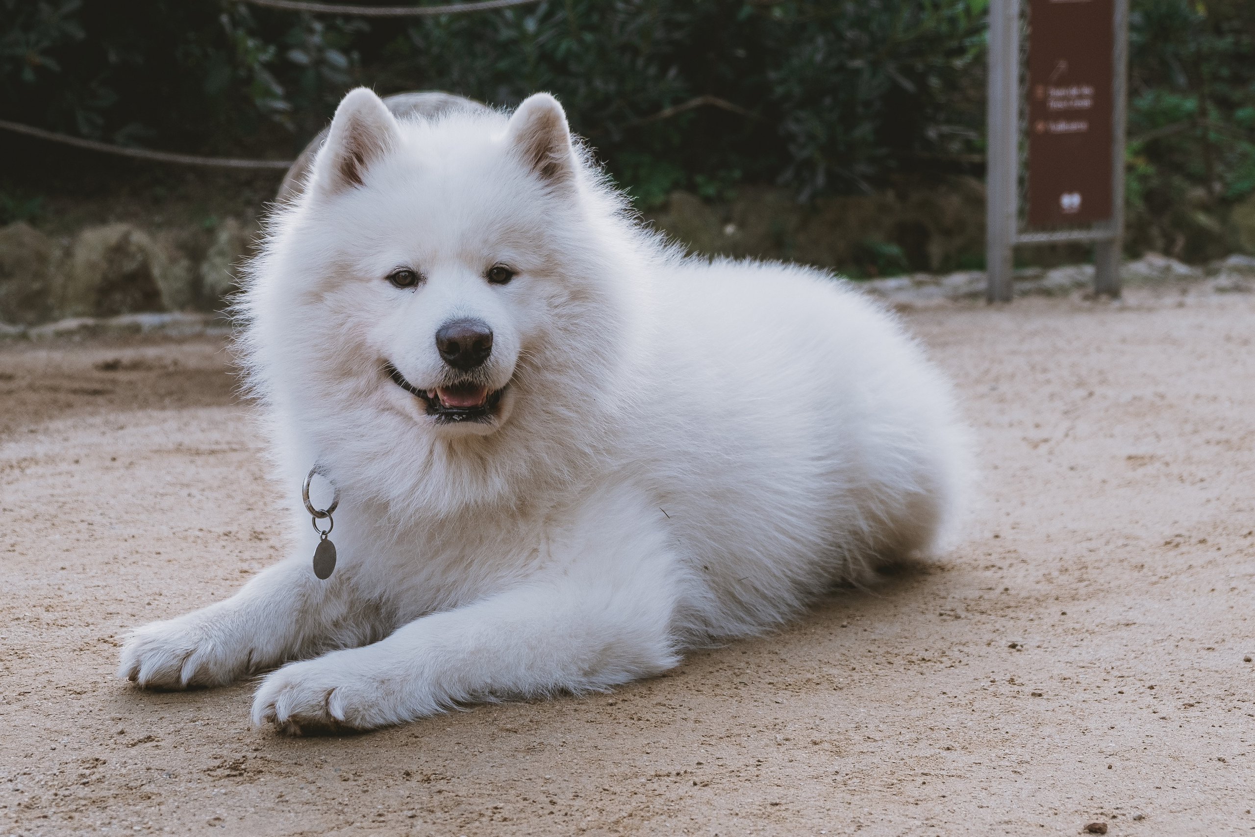 Park Güell (Парк Гуэль, исп. Parque Güell)