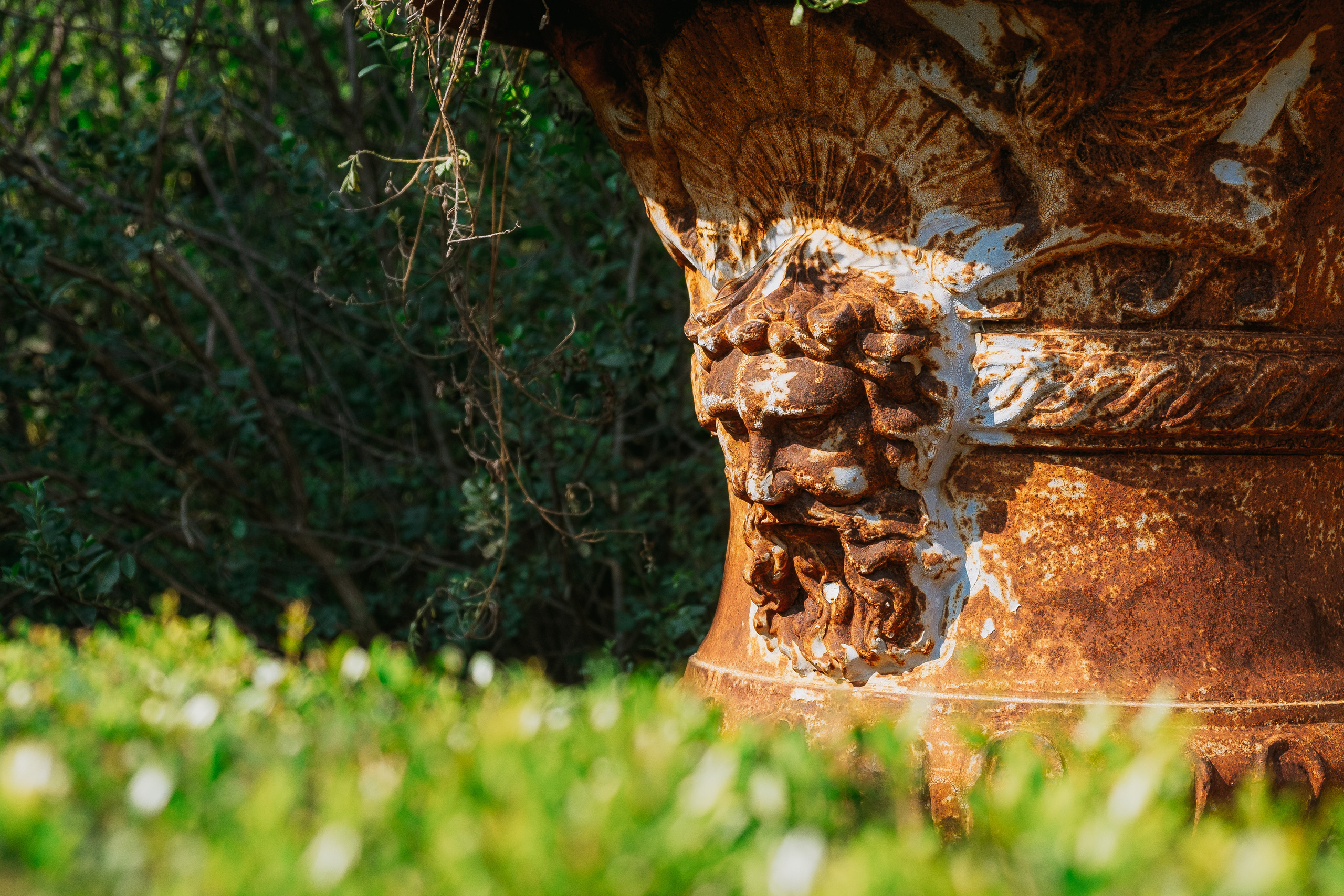 Jardí de l'Albarda (Сад l'Albarda)