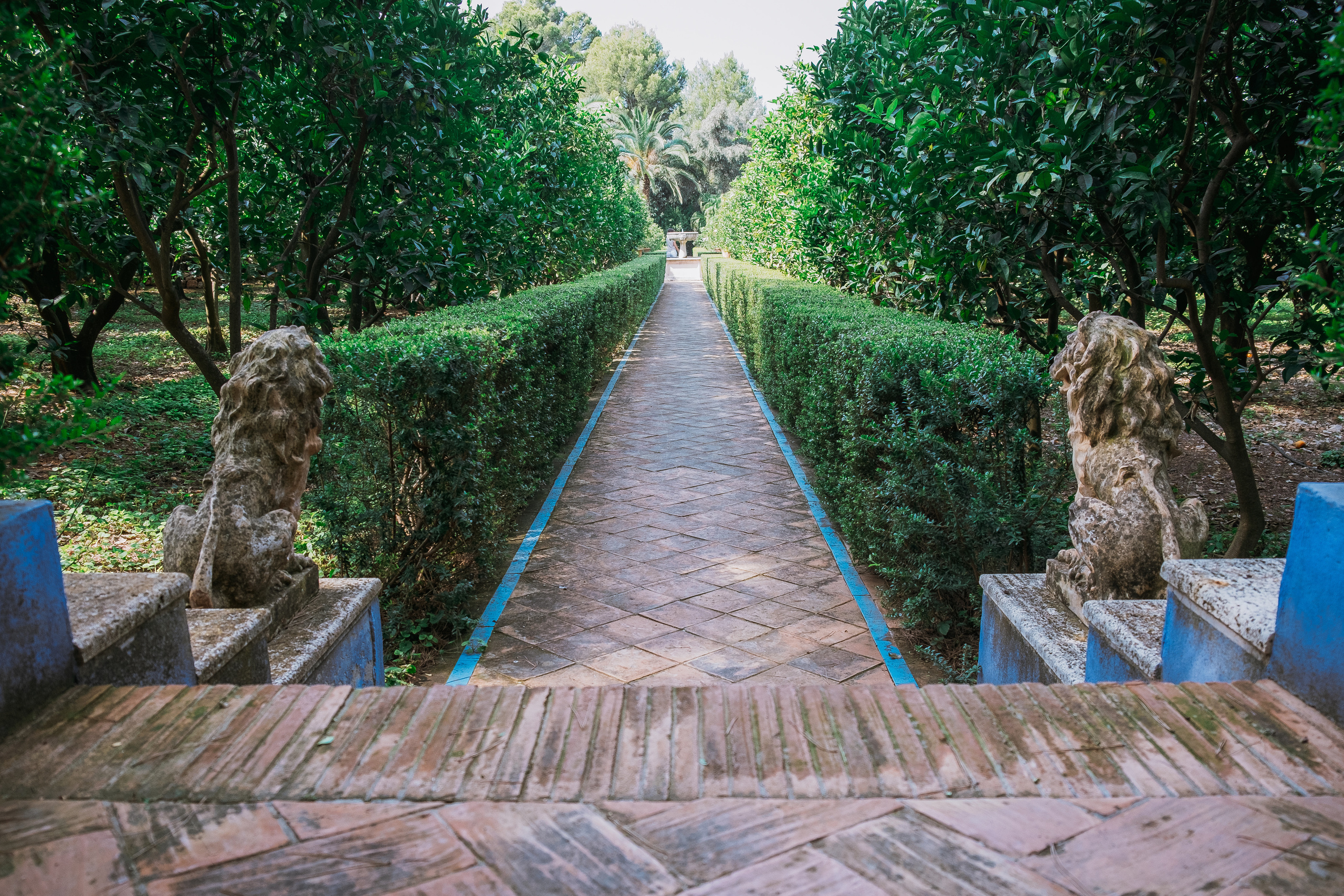 Jardí de l'Albarda (Сад l'Albarda)