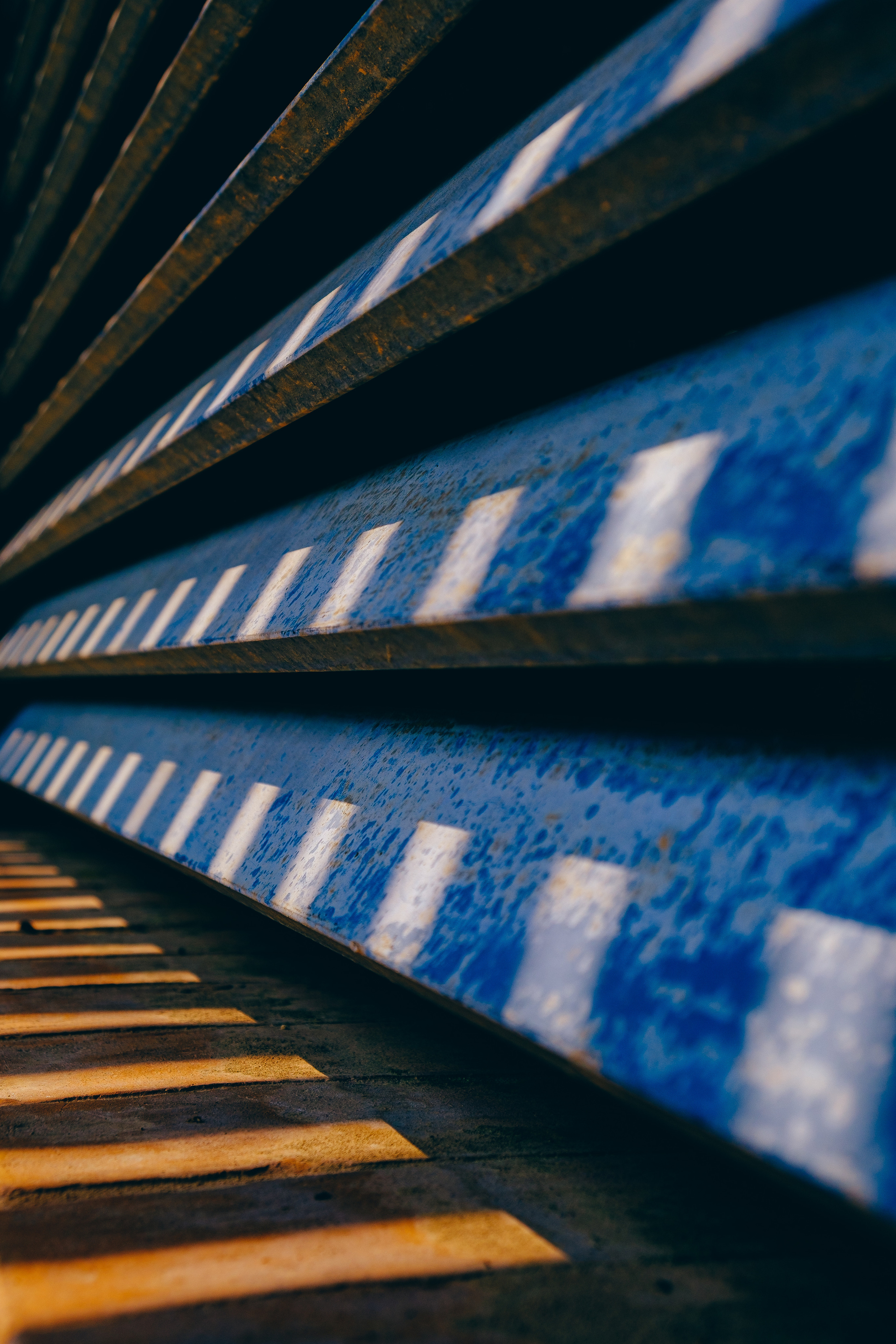 Jardí de l'Albarda (Сад l'Albarda)