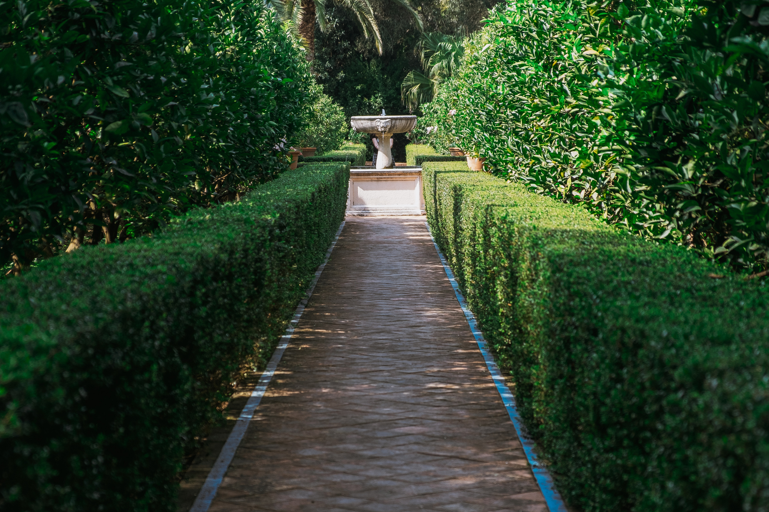 Jardí de l'Albarda (Сад l'Albarda)