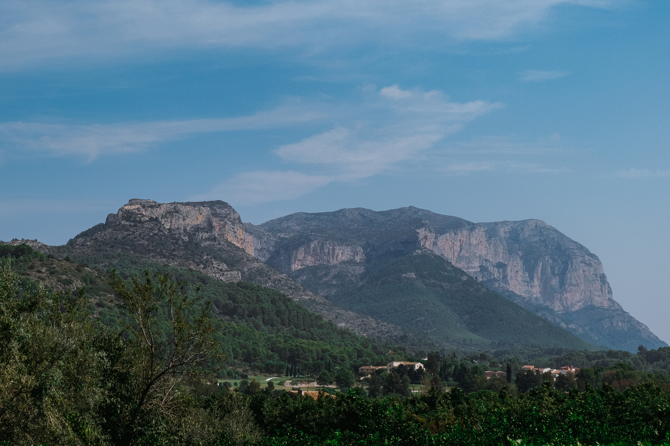 Jardí de l'Albarda (Сад l'Albarda)