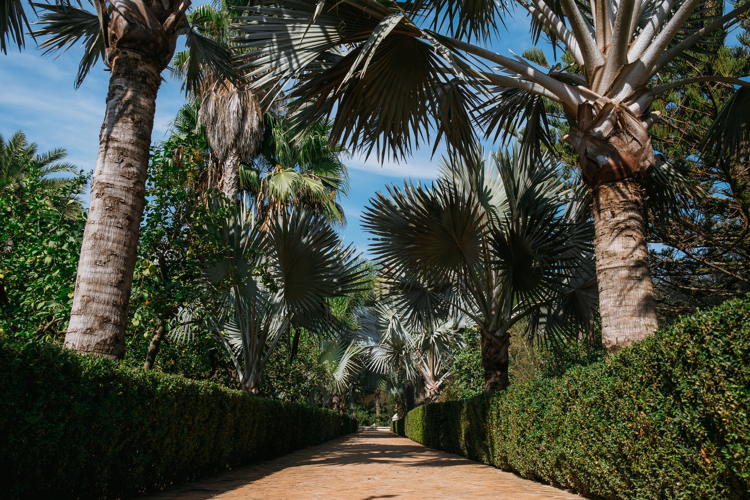 Jardí de l'Albarda (Сад l'Albarda)