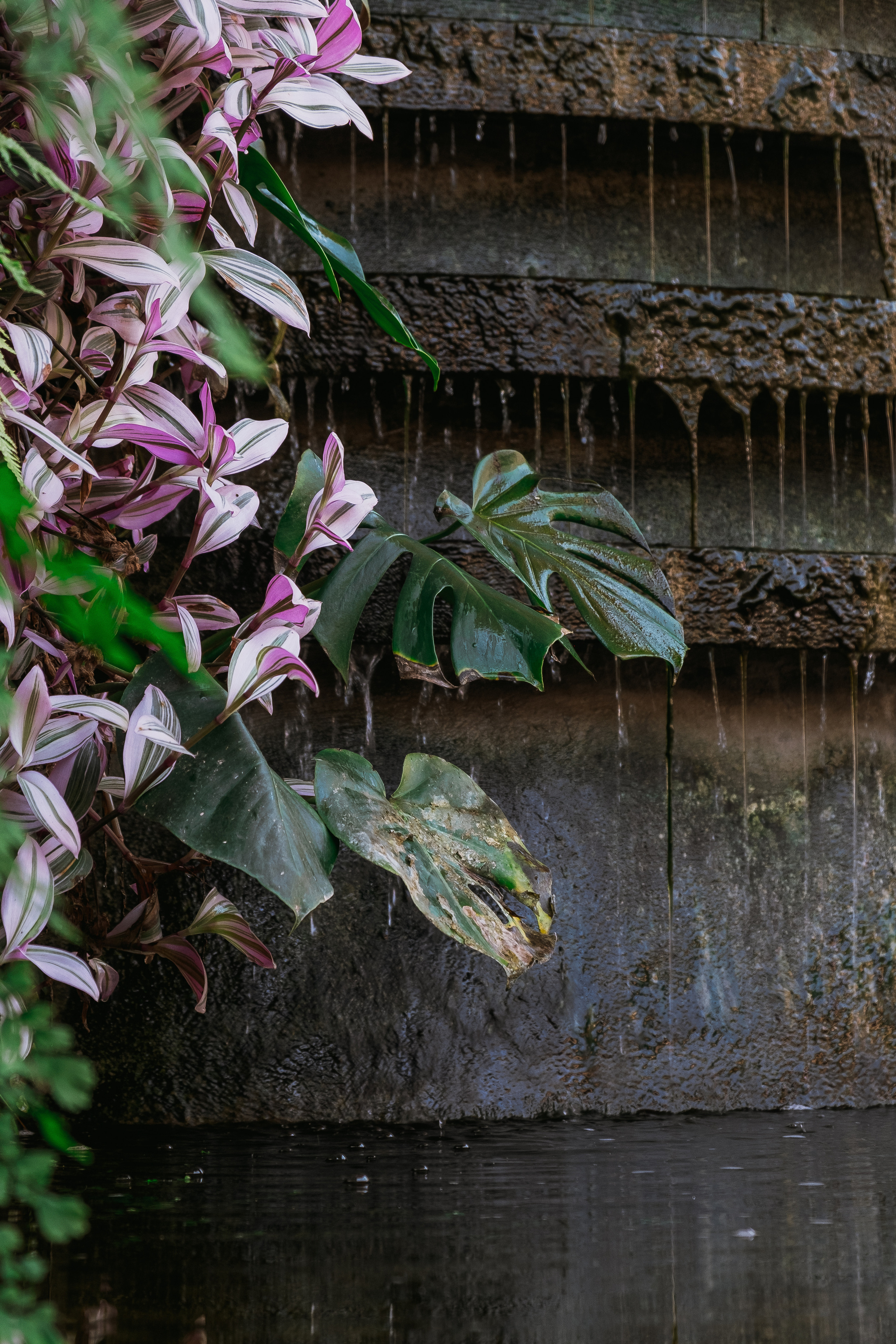 Jardí de l'Albarda (Сад l'Albarda)