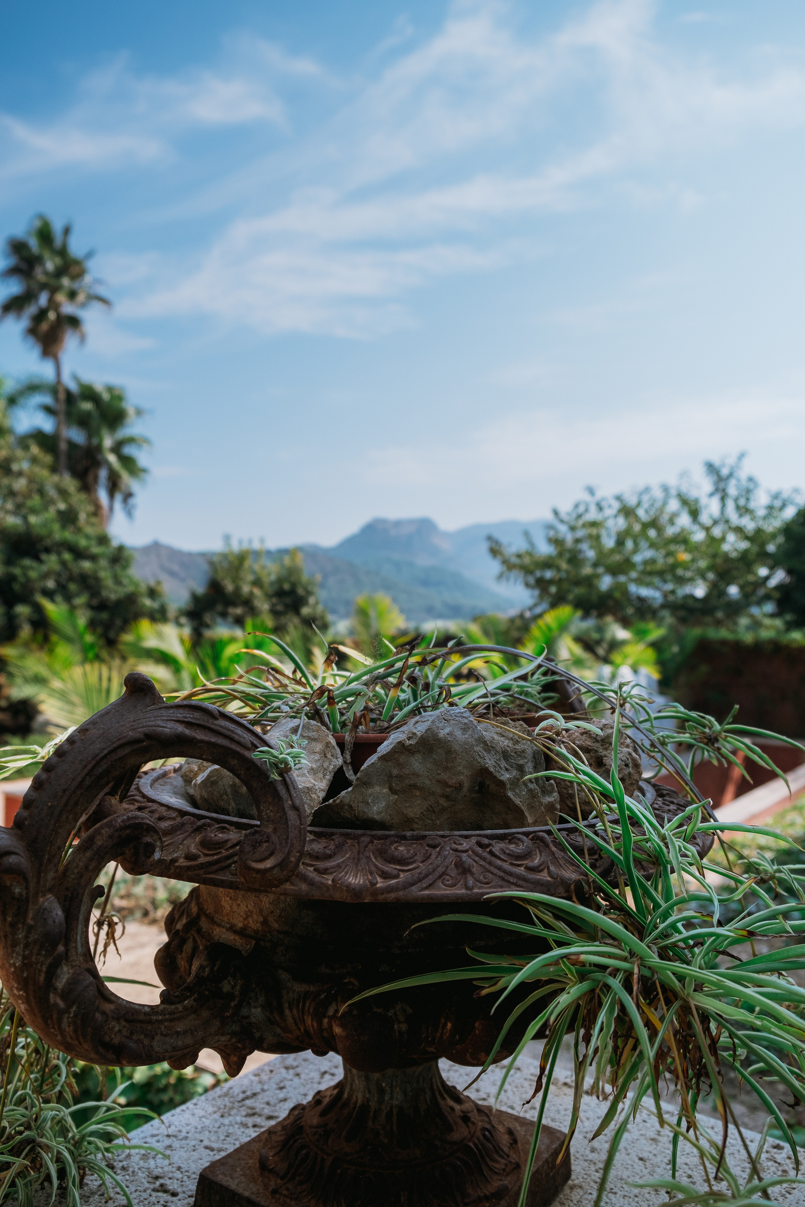 Jardí de l'Albarda (Сад l'Albarda)