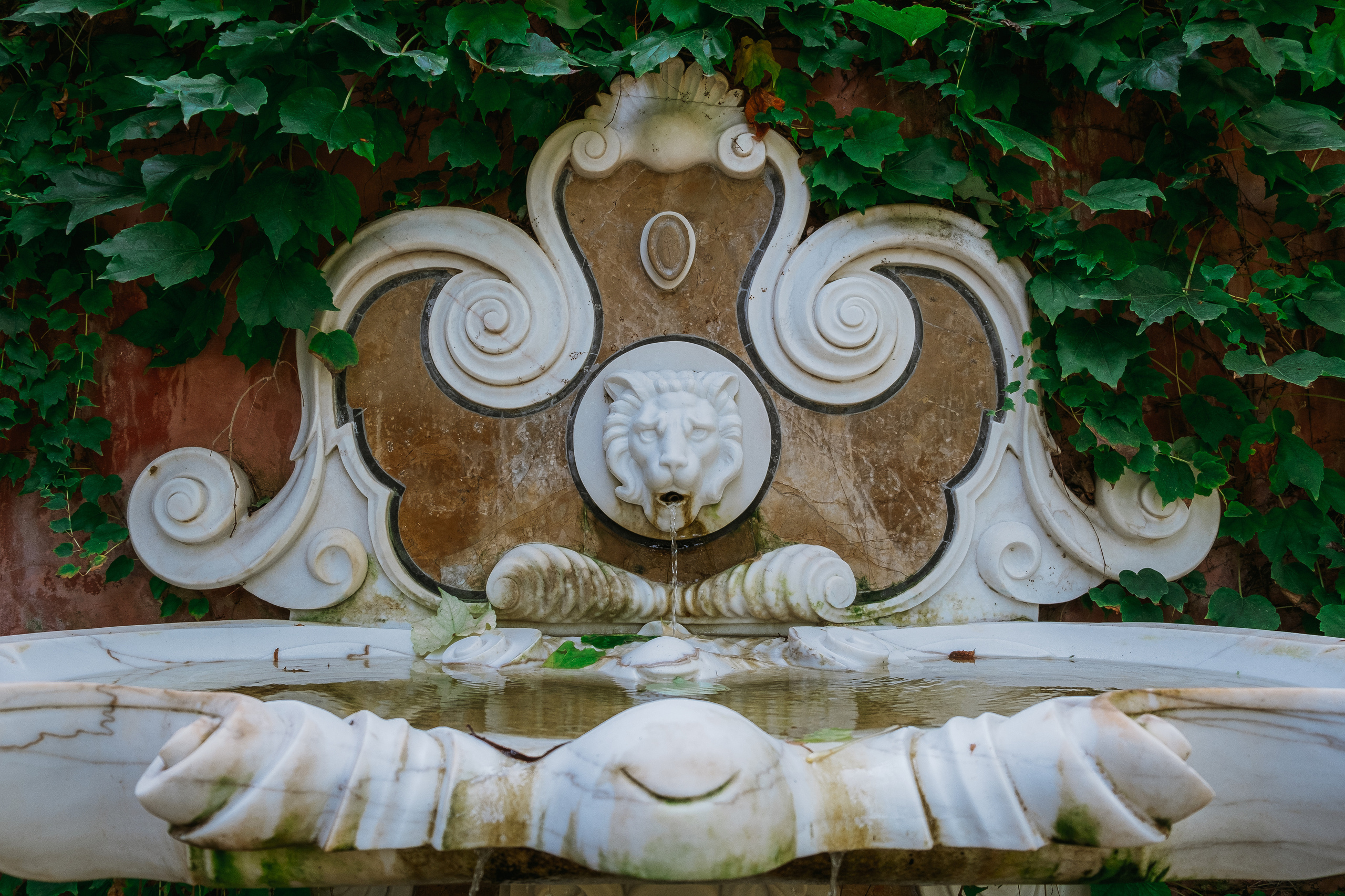 Jardí de l'Albarda (Сад l'Albarda)