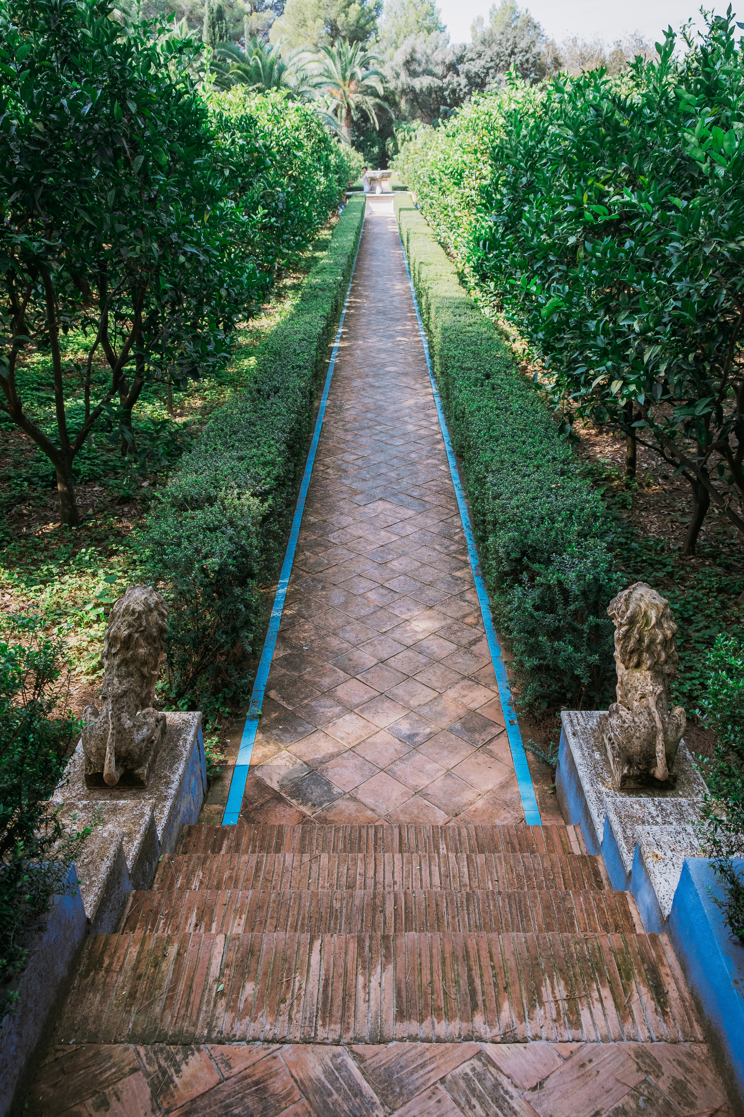 Jardí de l'Albarda (Сад l'Albarda)