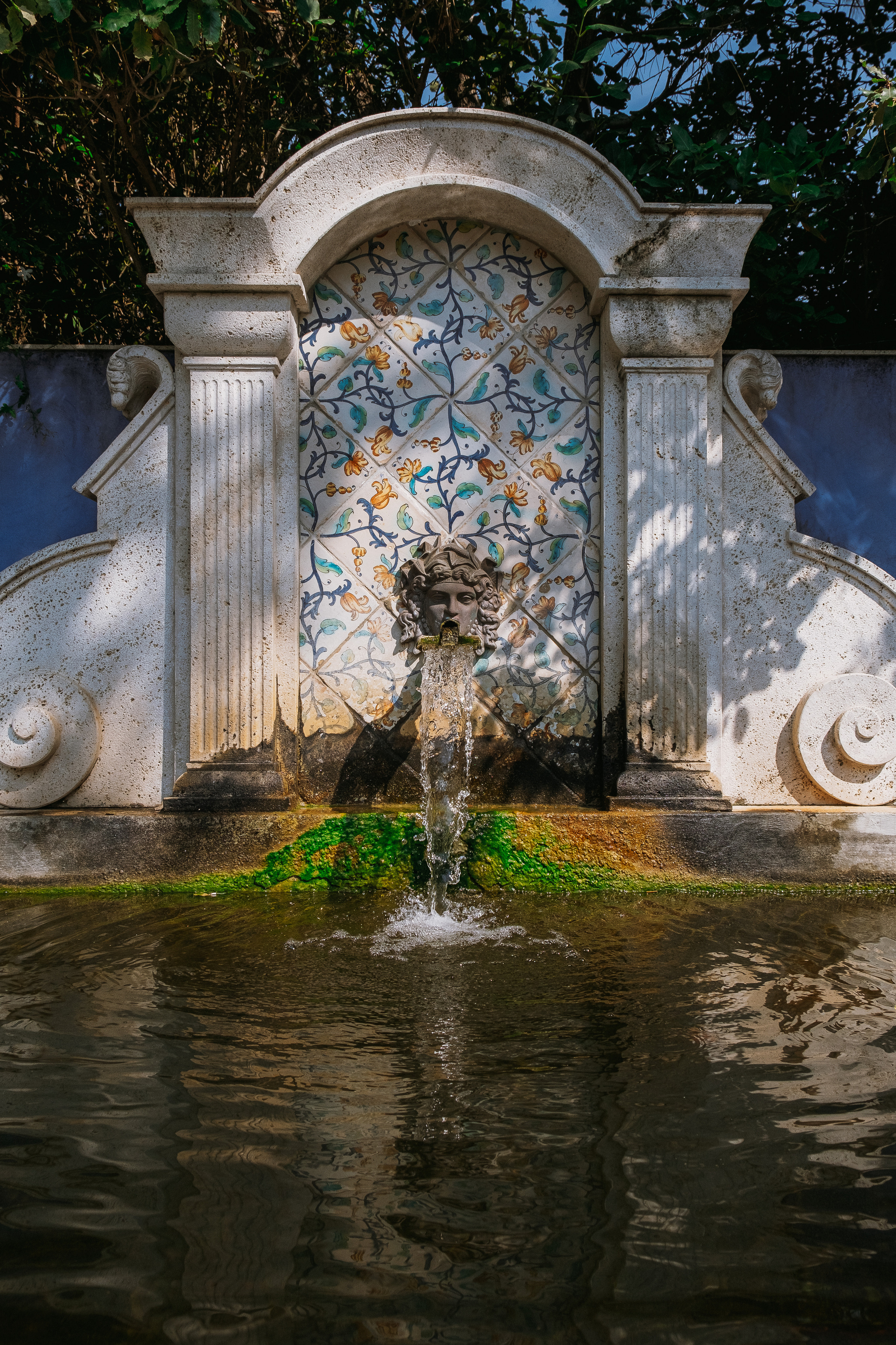 Jardí de l'Albarda (Сад l'Albarda)