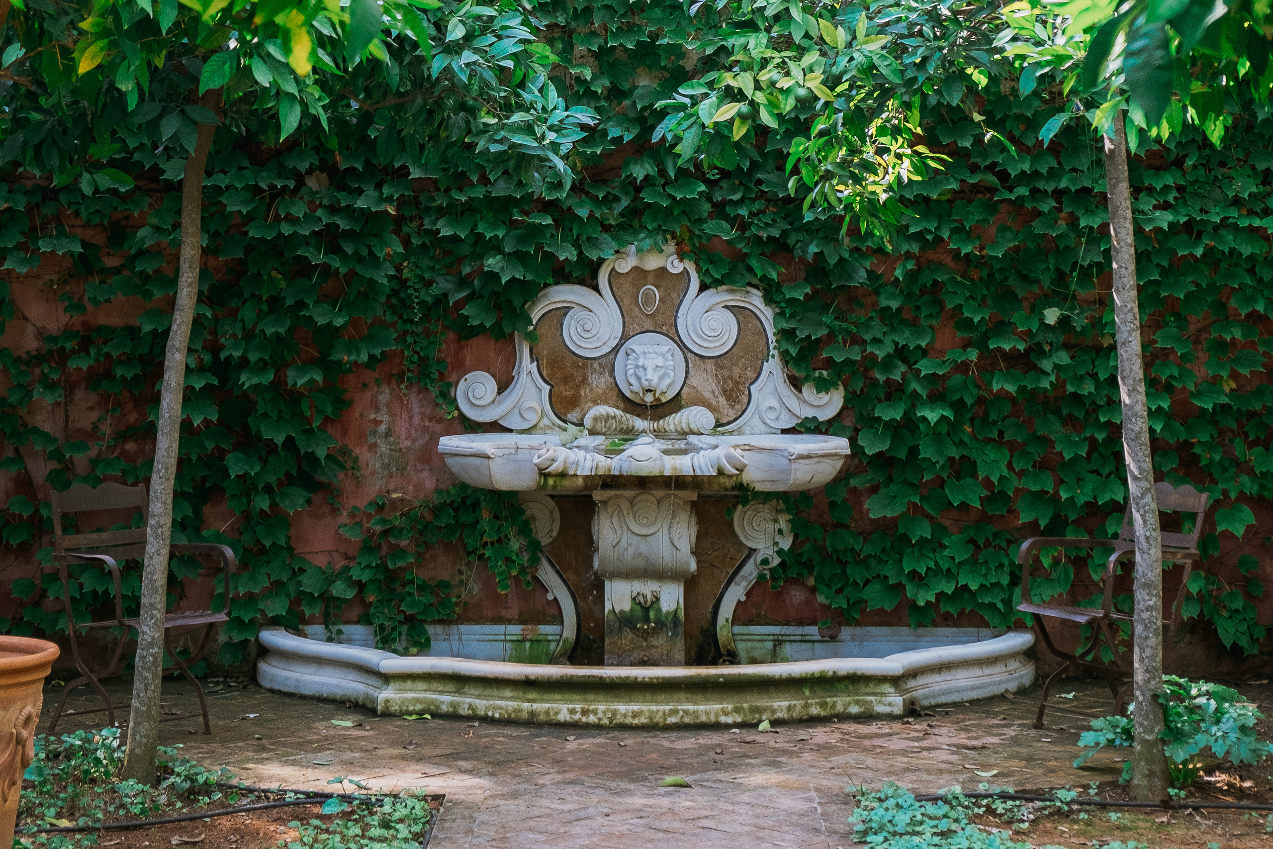 Jardí de l'Albarda (Сад l'Albarda)