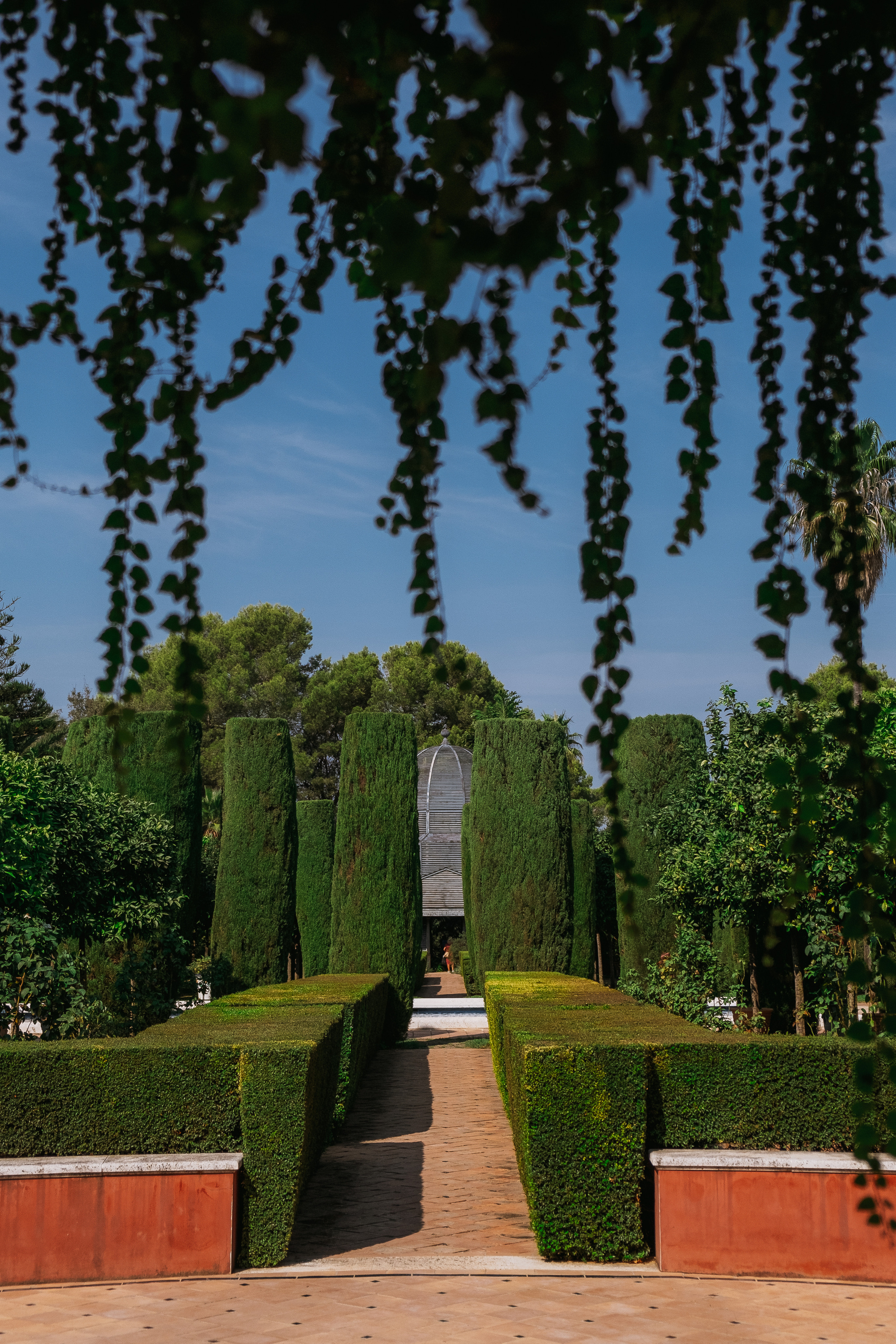 Jardí de l'Albarda (Сад l'Albarda)