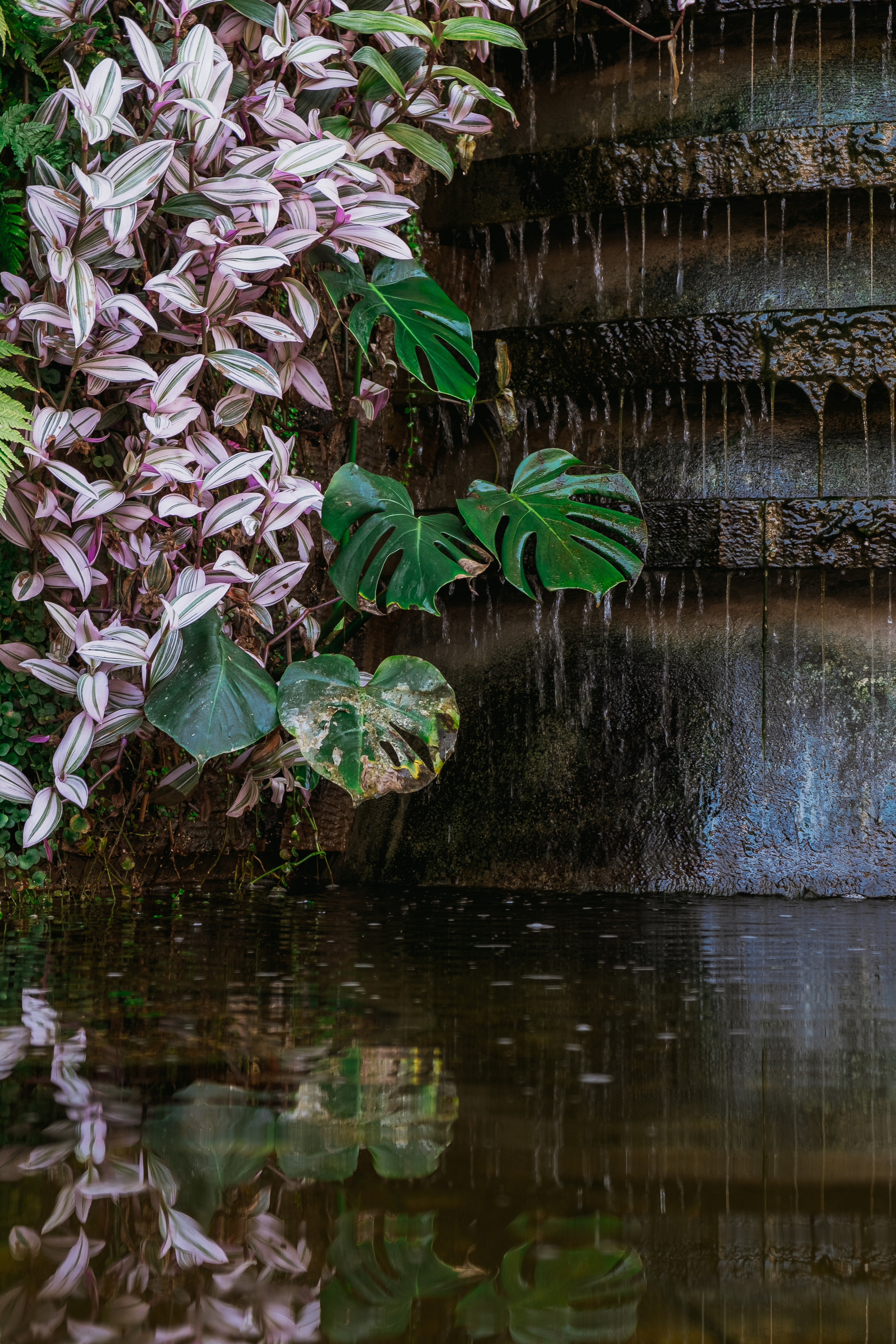 Jardí de l'Albarda (Сад l'Albarda)