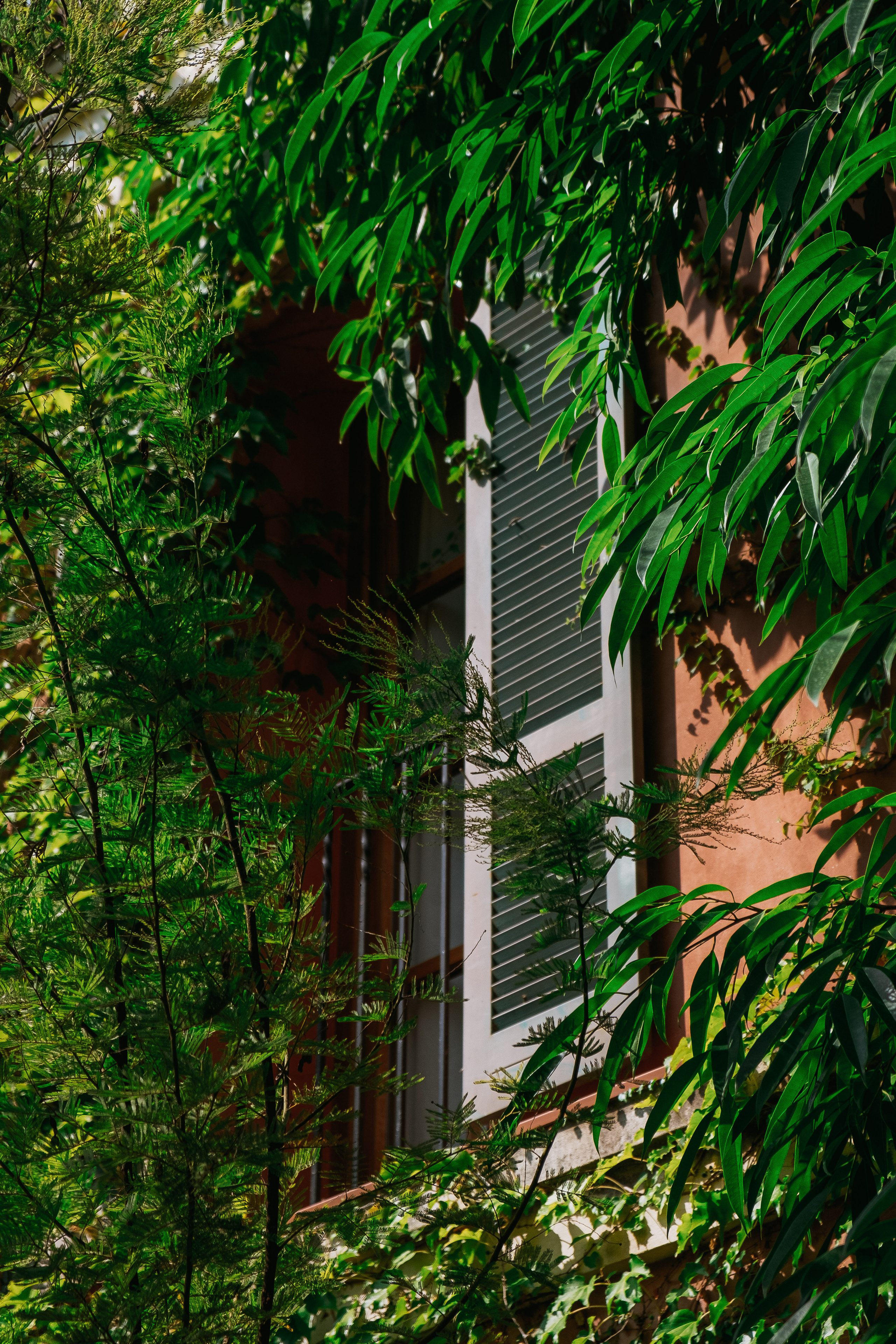 Jardí de l'Albarda (Сад l'Albarda)