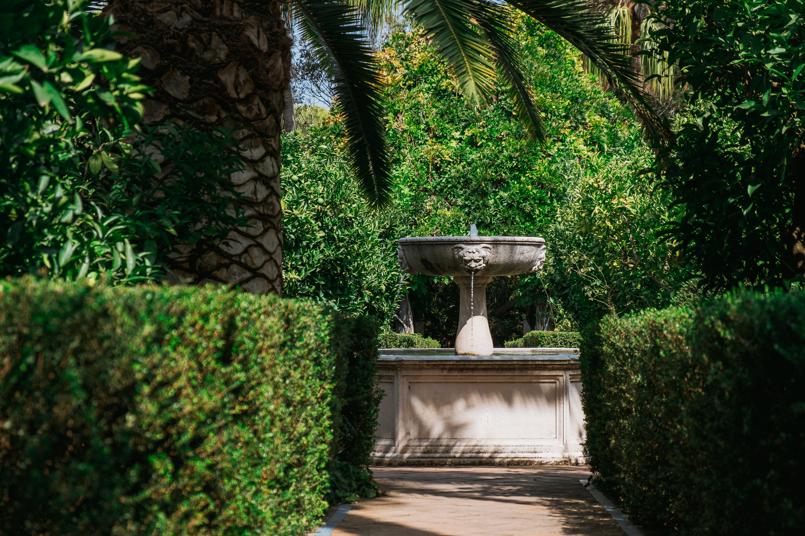 Jardí de l'Albarda (Сад l'Albarda)