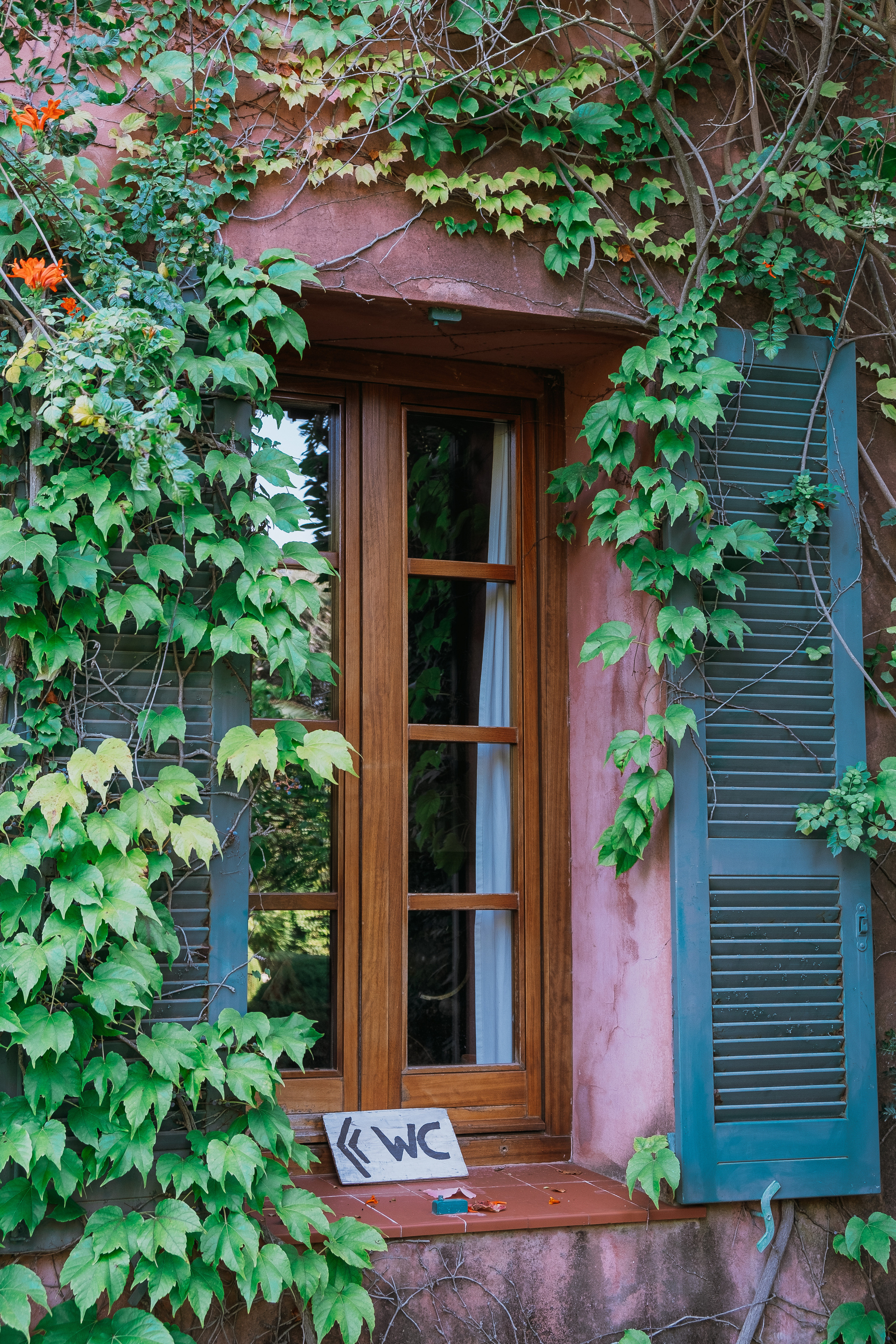 Jardí de l'Albarda (Сад l'Albarda)