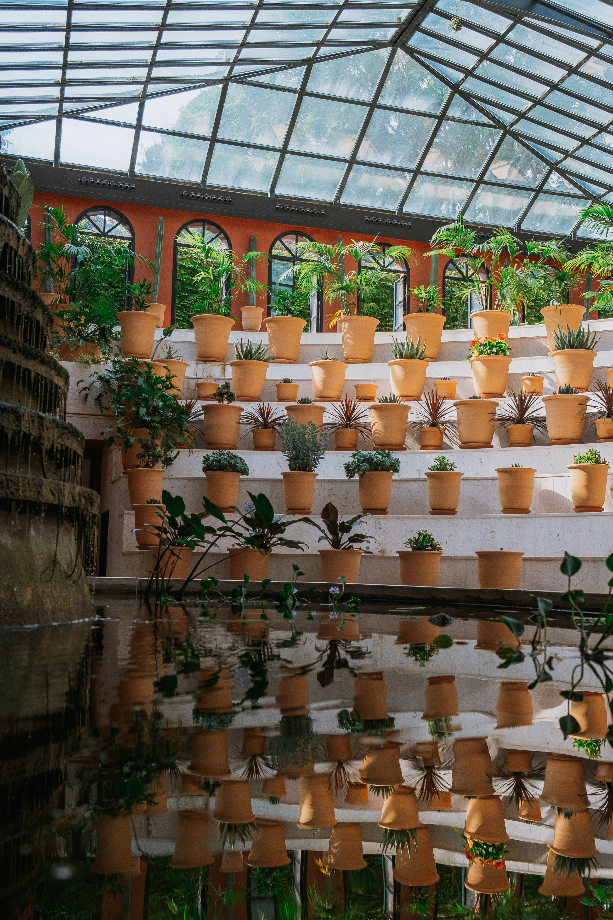 Jardí de l'Albarda (Сад l'Albarda)