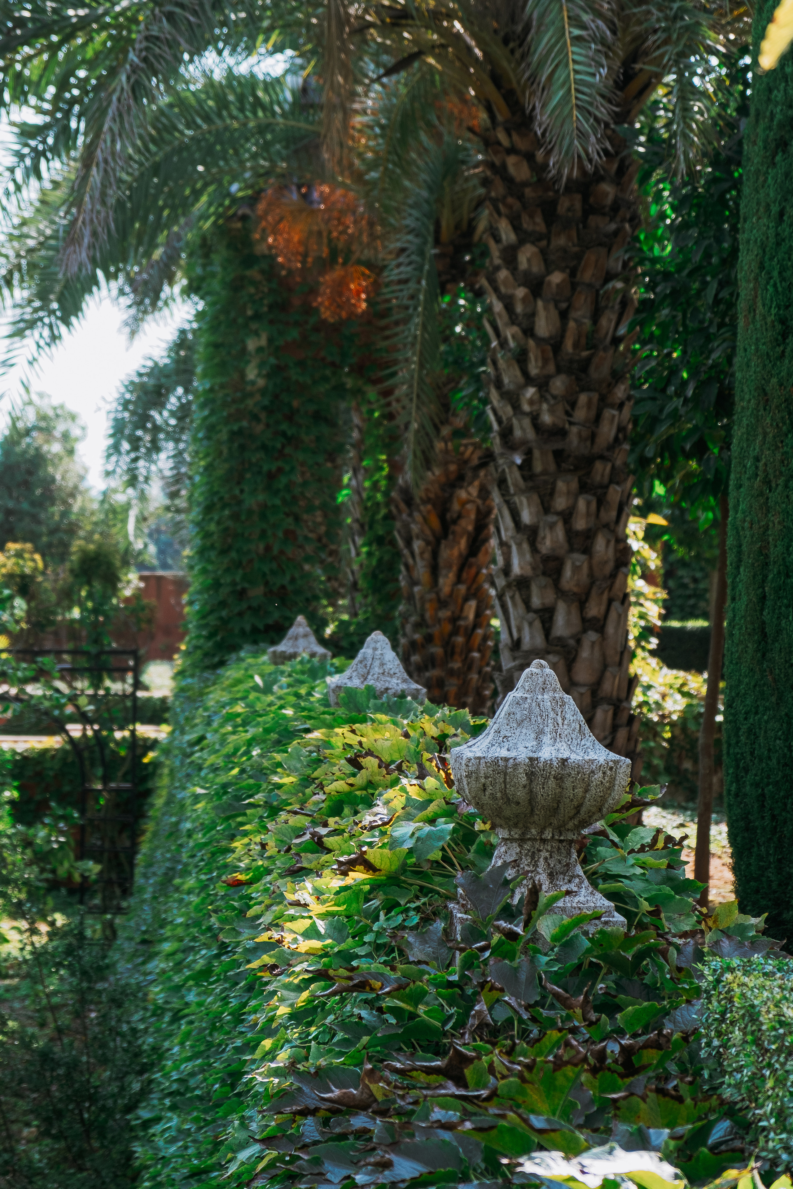 Jardí de l'Albarda (Сад l'Albarda)