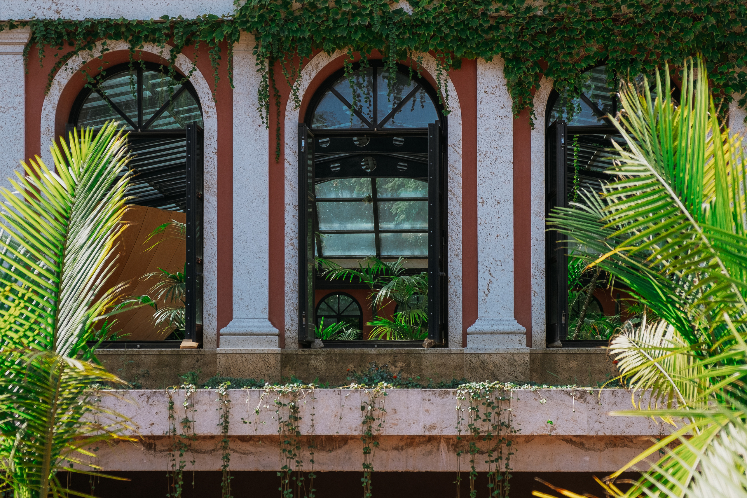 Jardí de l'Albarda (Сад l'Albarda)