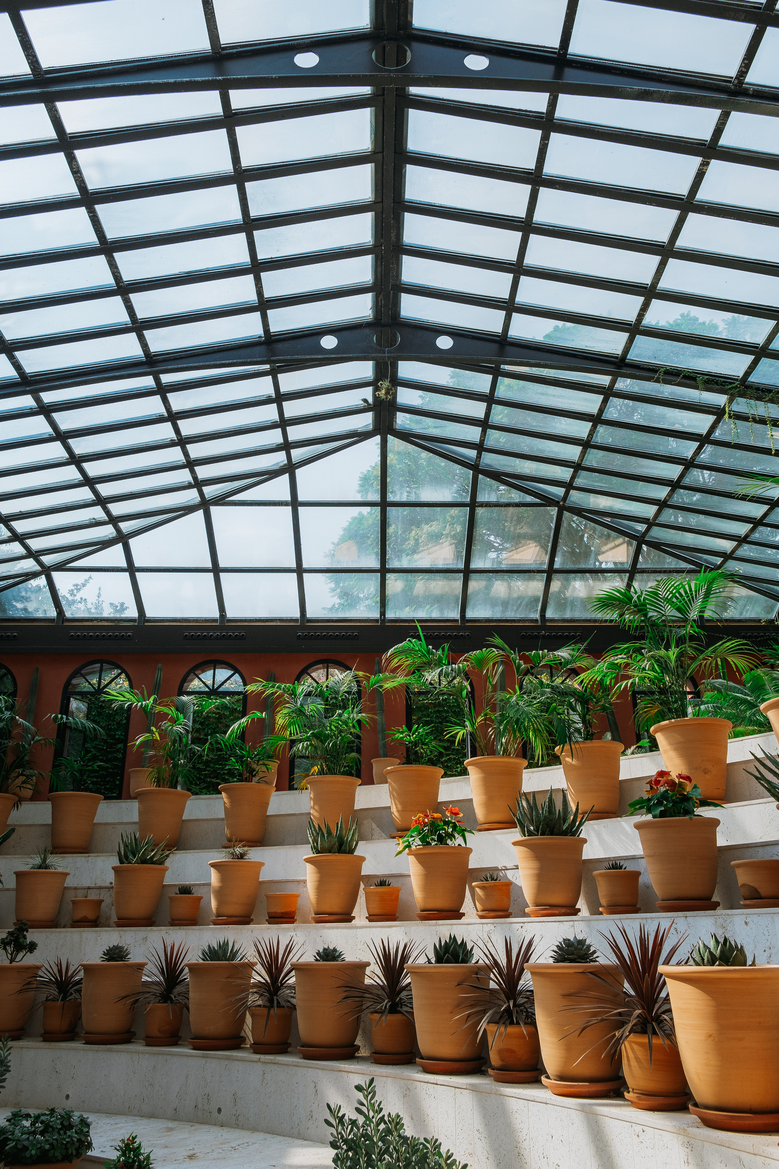 Jardí de l'Albarda (Сад l'Albarda)