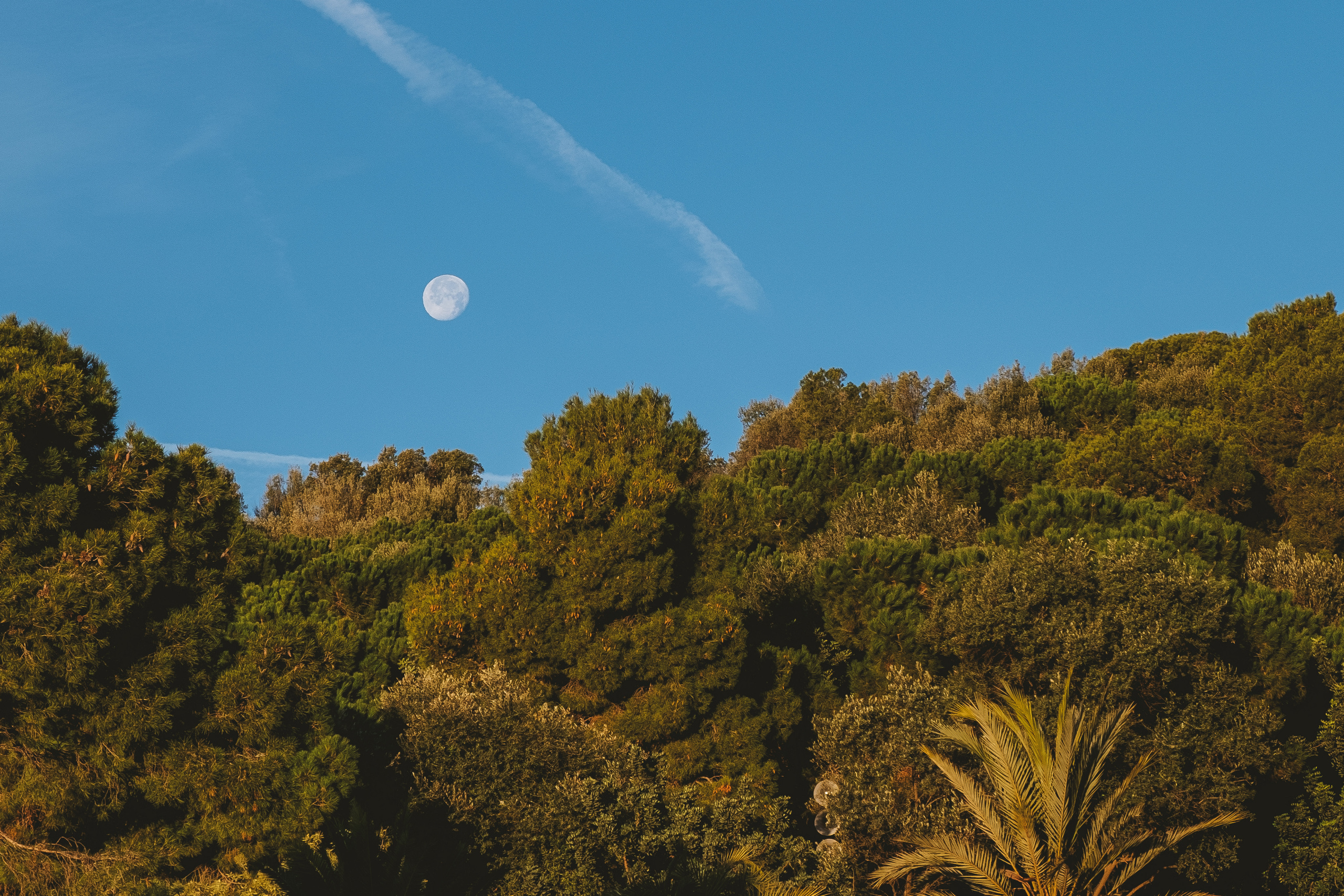 Park Güell (Парк Гуэль, исп. Parque Güell)