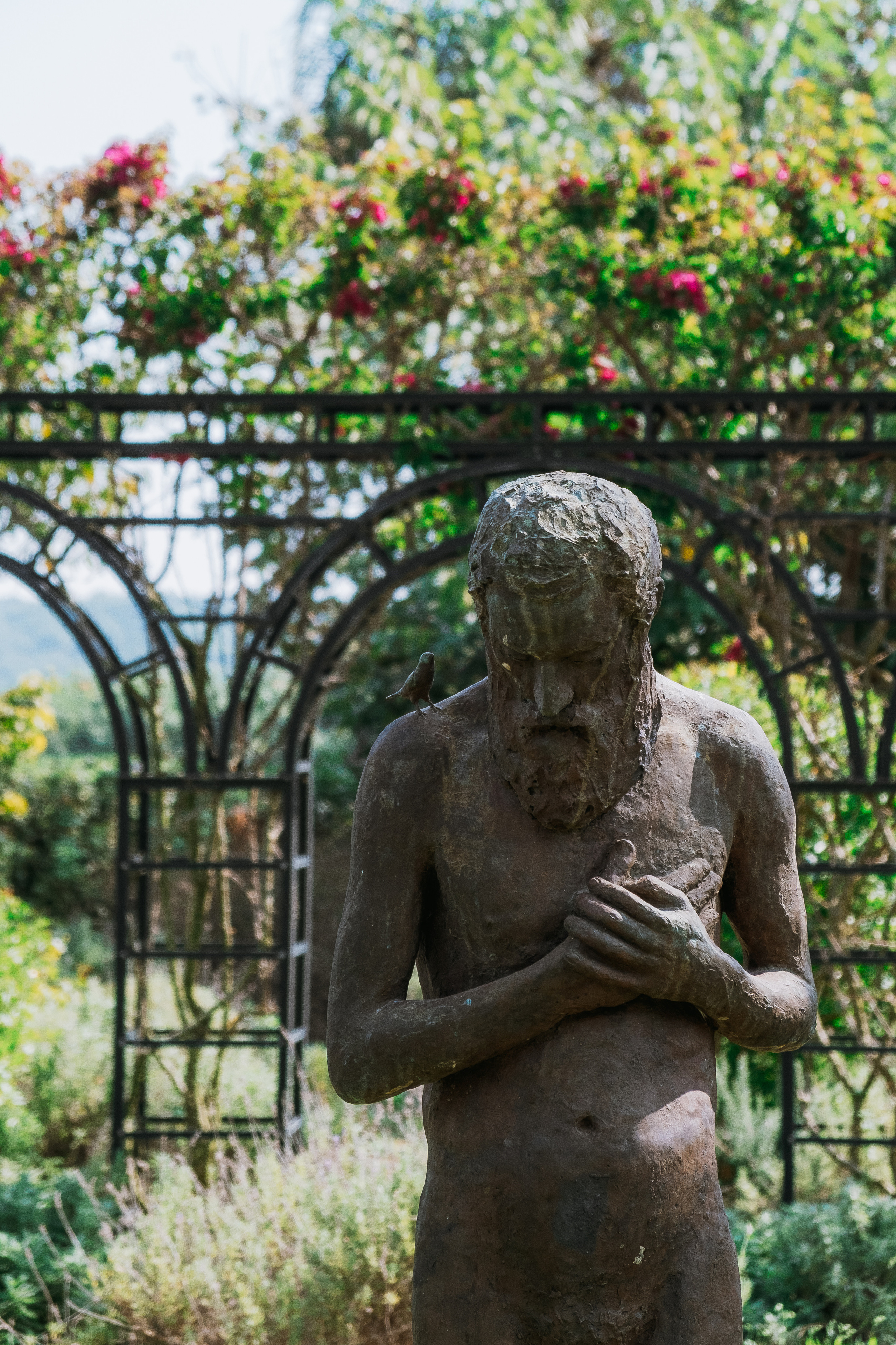 Jardí de l'Albarda (Сад l'Albarda)