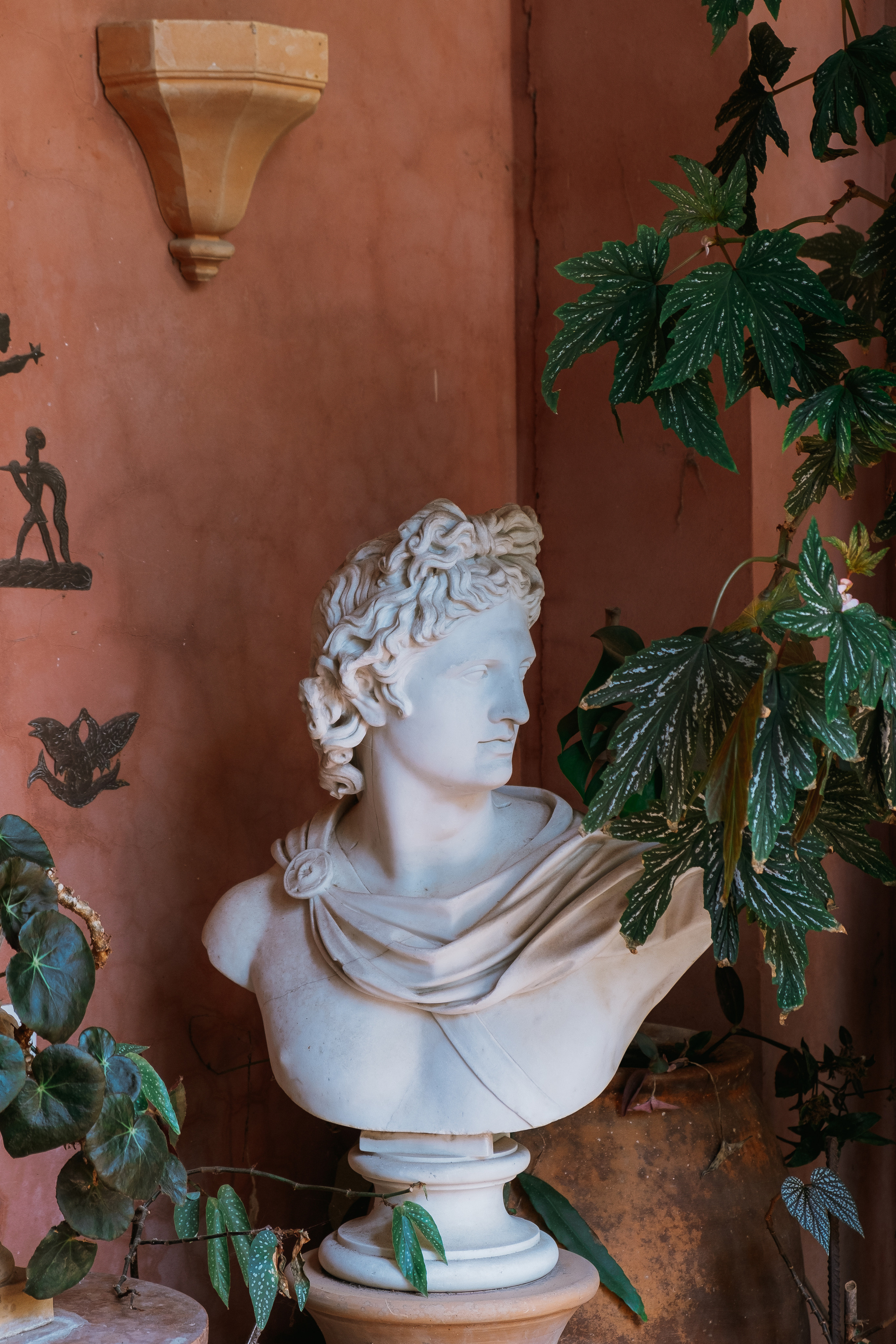 Jardí de l'Albarda (Сад l'Albarda)