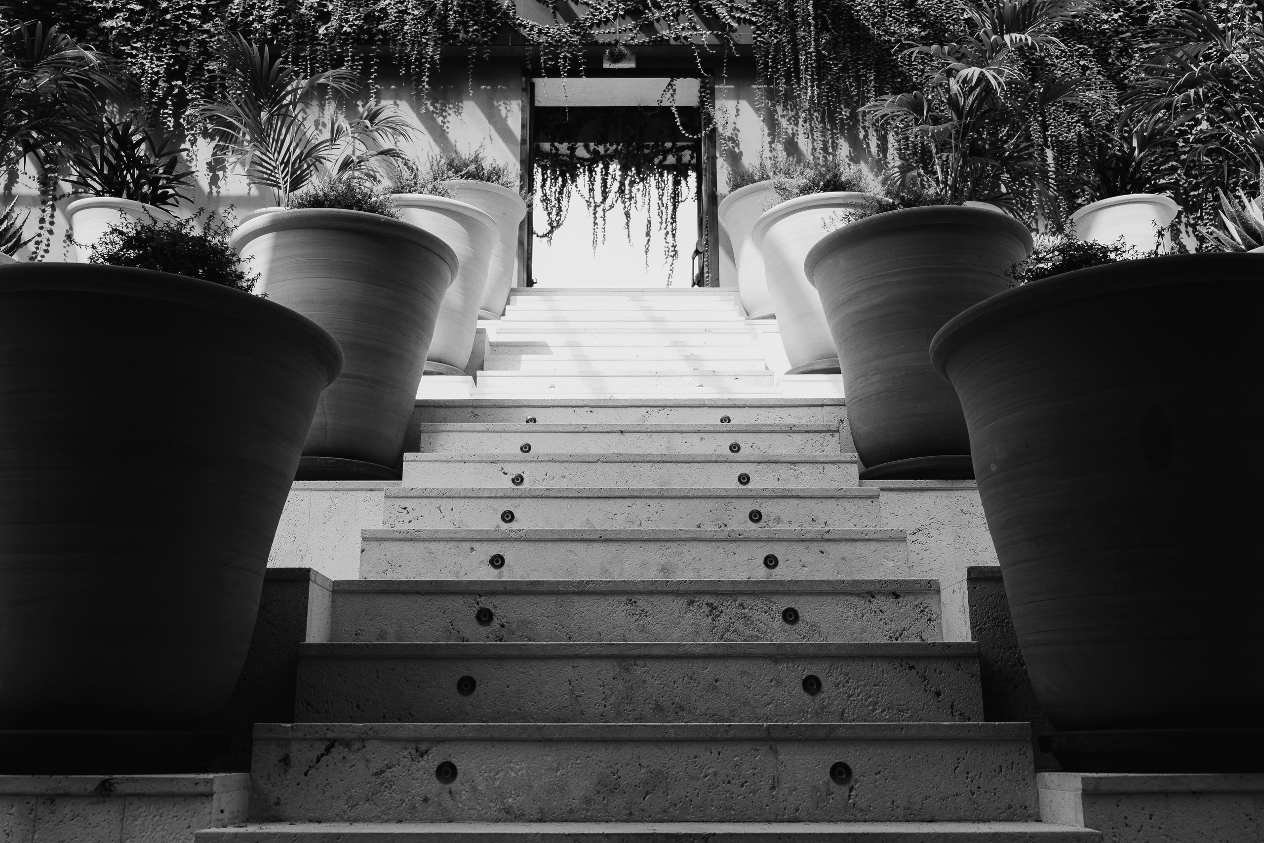 Jardí de l'Albarda (Сад l'Albarda)