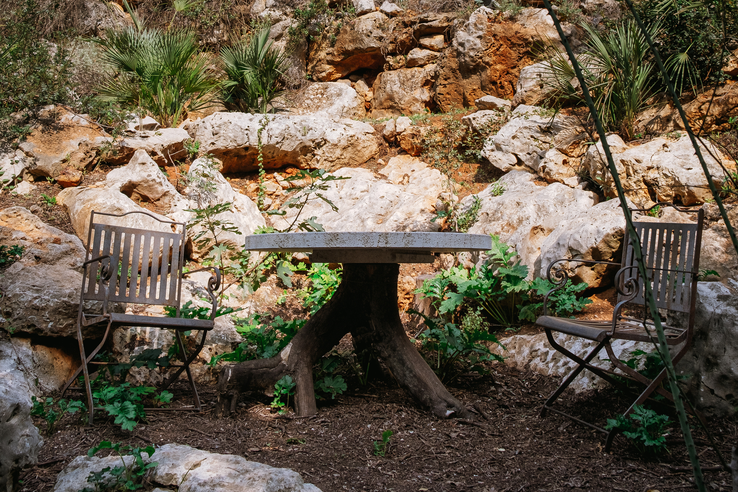 Jardí de l'Albarda (Сад l'Albarda)