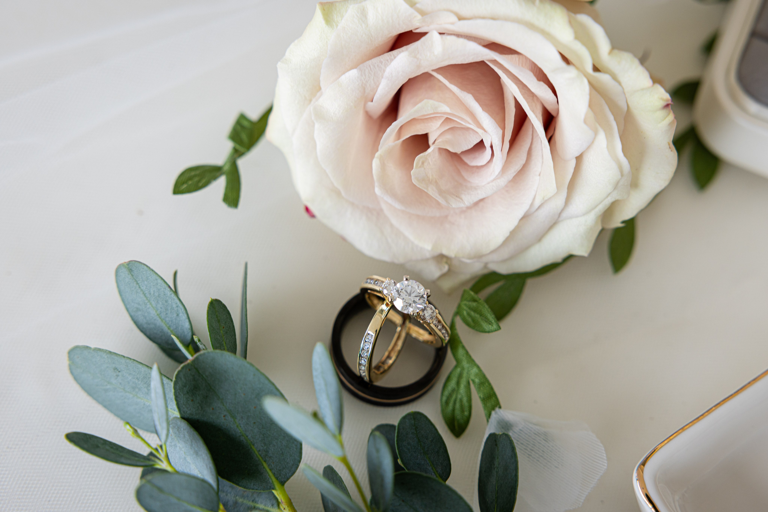 Brian & Elsy’s Romantic Wedding at The Venue at Rose Spring Farm. Wedding and portrait photography in Greenville SC