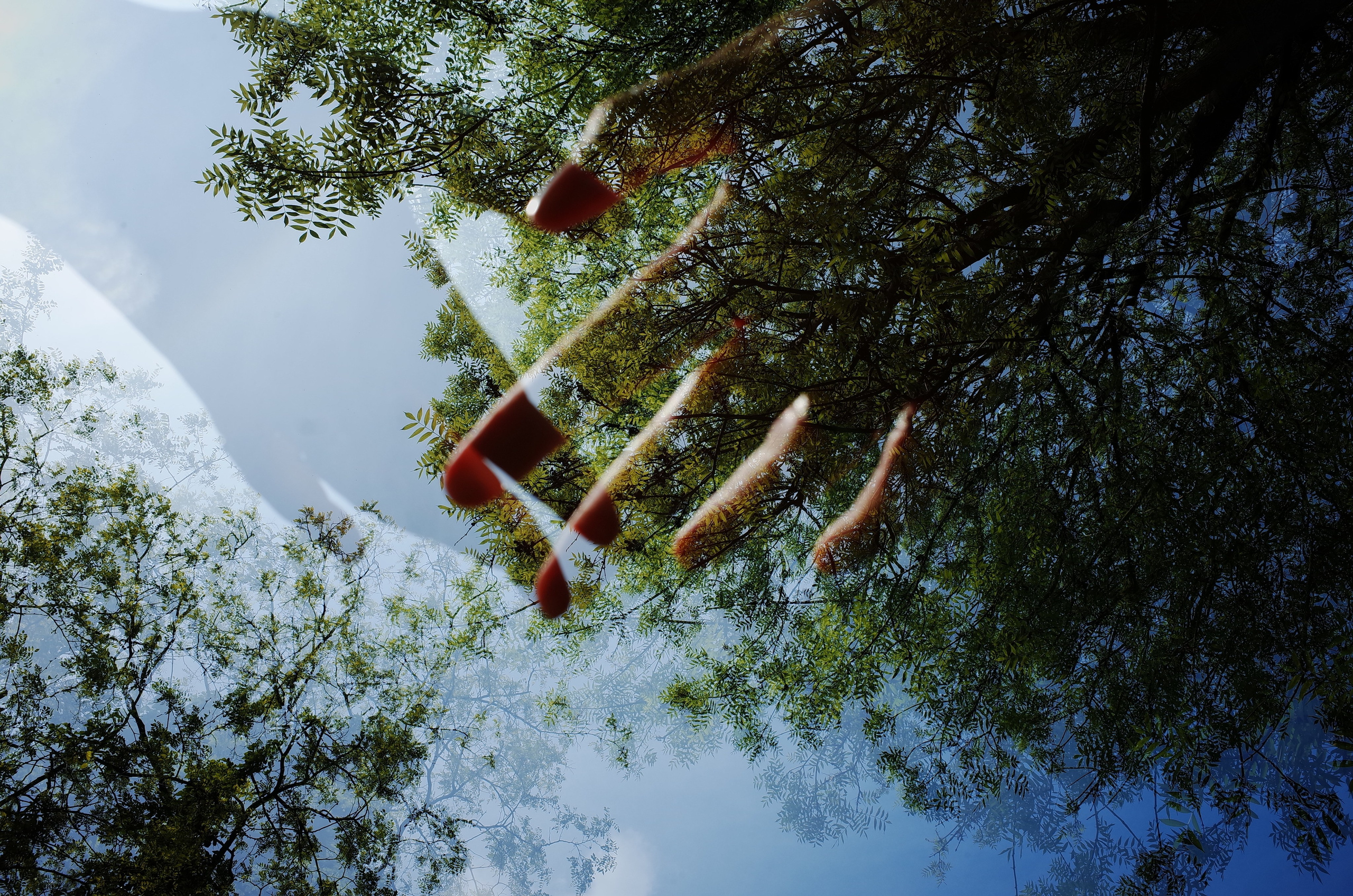 AutoHerbarium. Victoria Dini. Art photography in London / Folkestone, UK