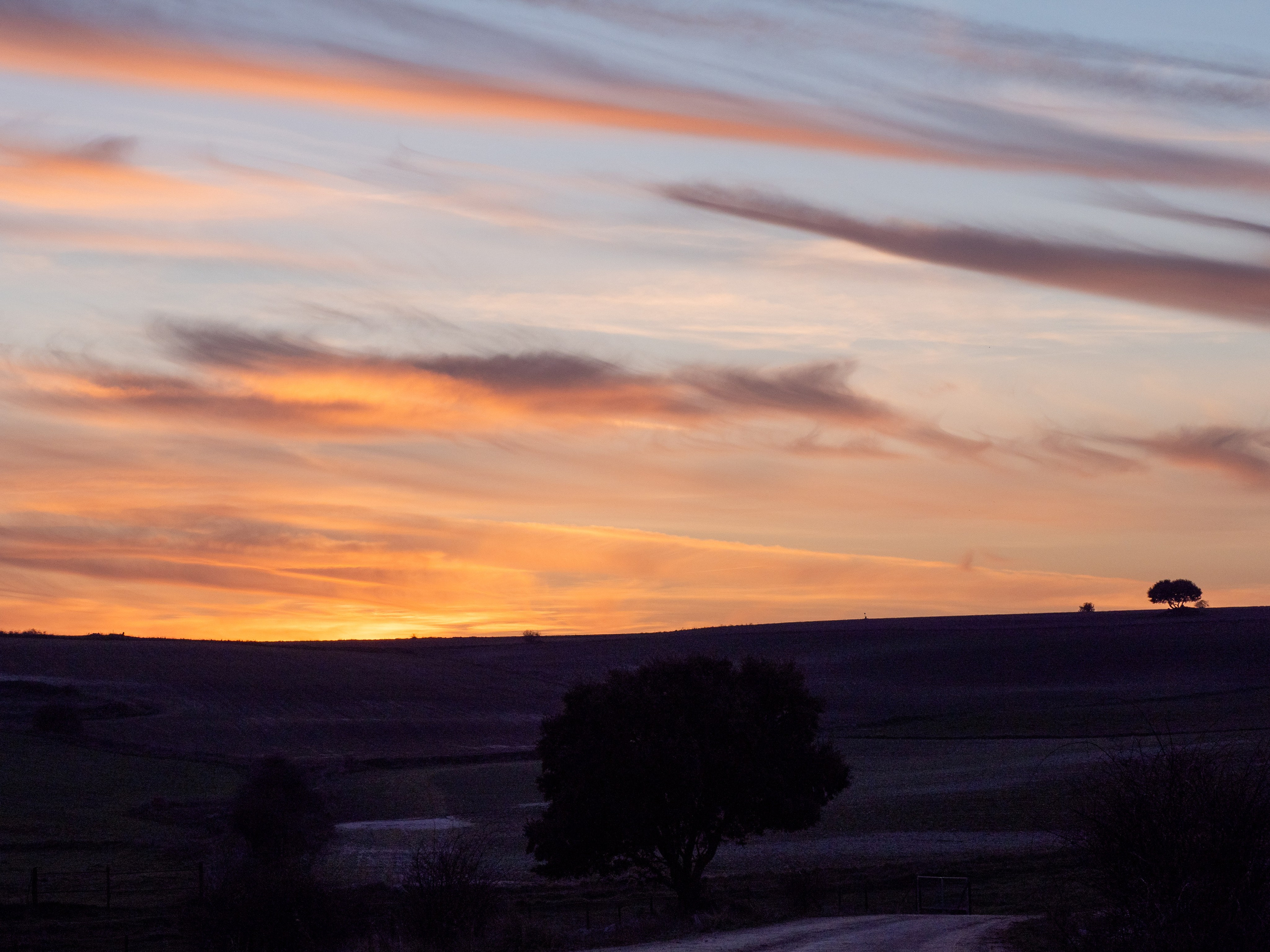 Estos son los servicios que ofrezco como fotógrafa. Distintos paquetes de horas y precios. Fotógrafa de Periodismo y Documentación, Teatro, Cine, Shooting para Modelos, Bodas, Bautizos, Comuniones, Familia y Eventos