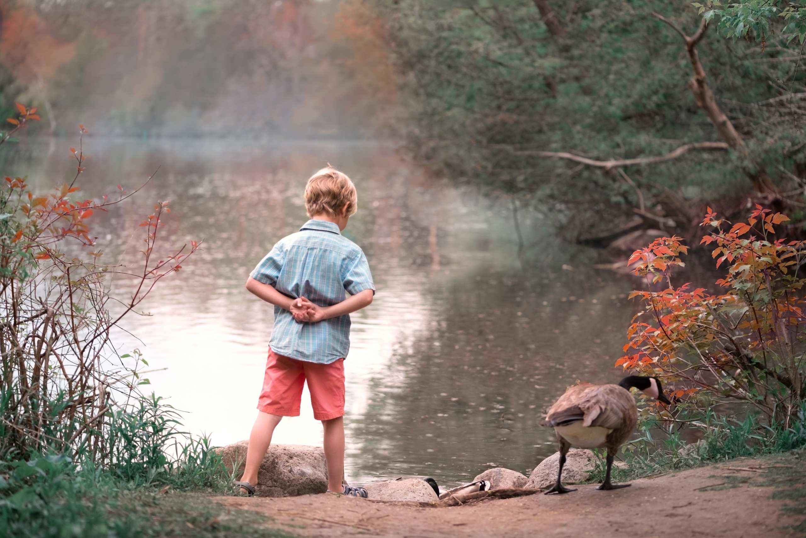 Dreamy evening photoshoot for boys. Playing. Family, children, portrait and fine art Toronto photographer. I delive