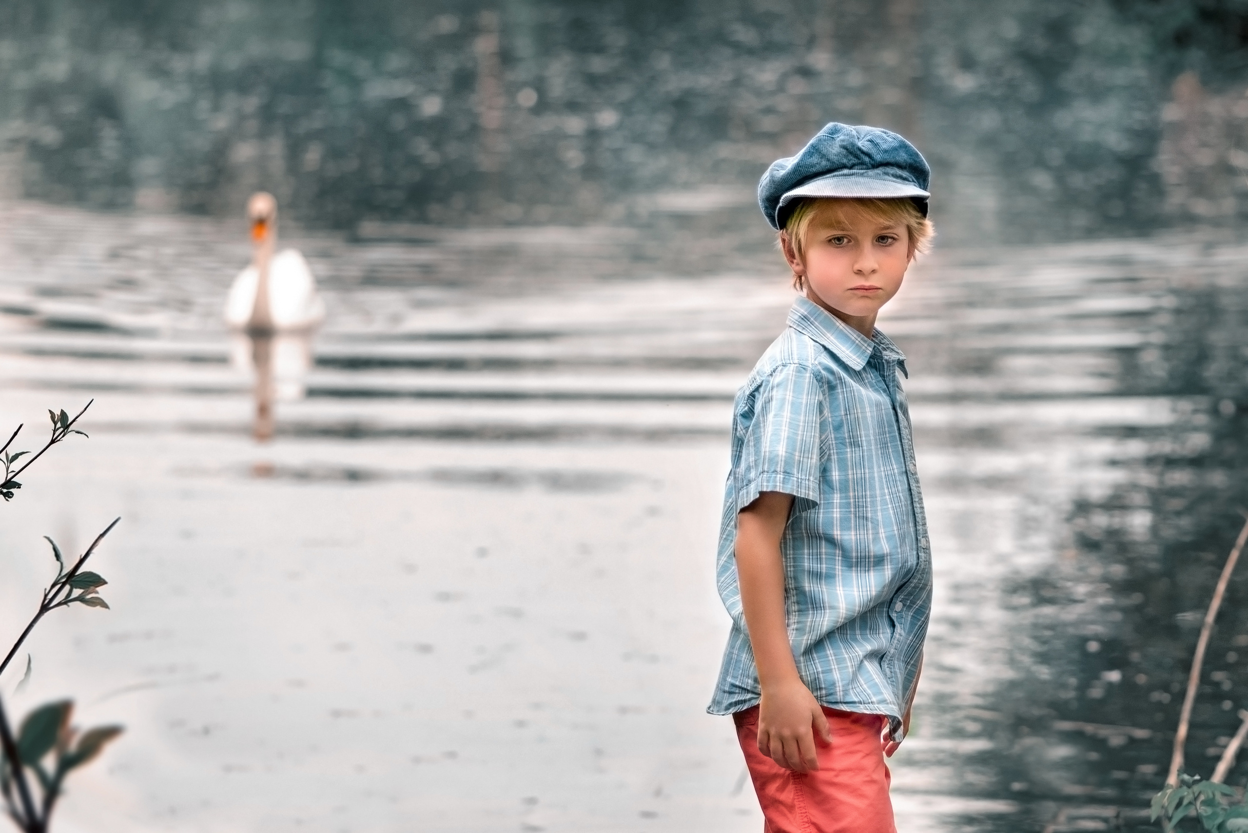Dreamy evening photoshoot for boys. Playing. Family, children, portrait and fine art Toronto photographer. I delive