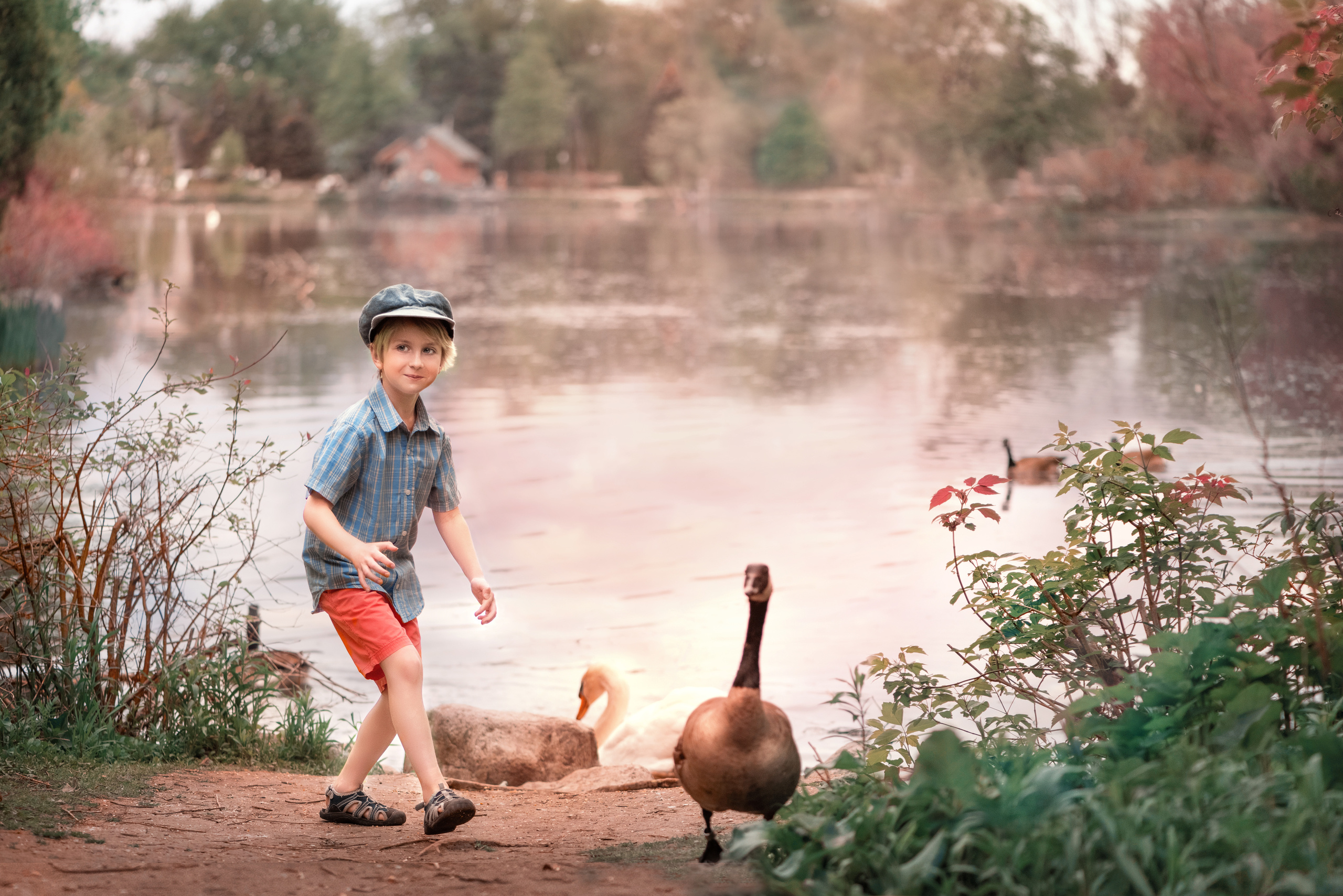 Dreamy evening photoshoot for boys. Playing. Family, children, portrait and fine art Toronto photographer. I delive