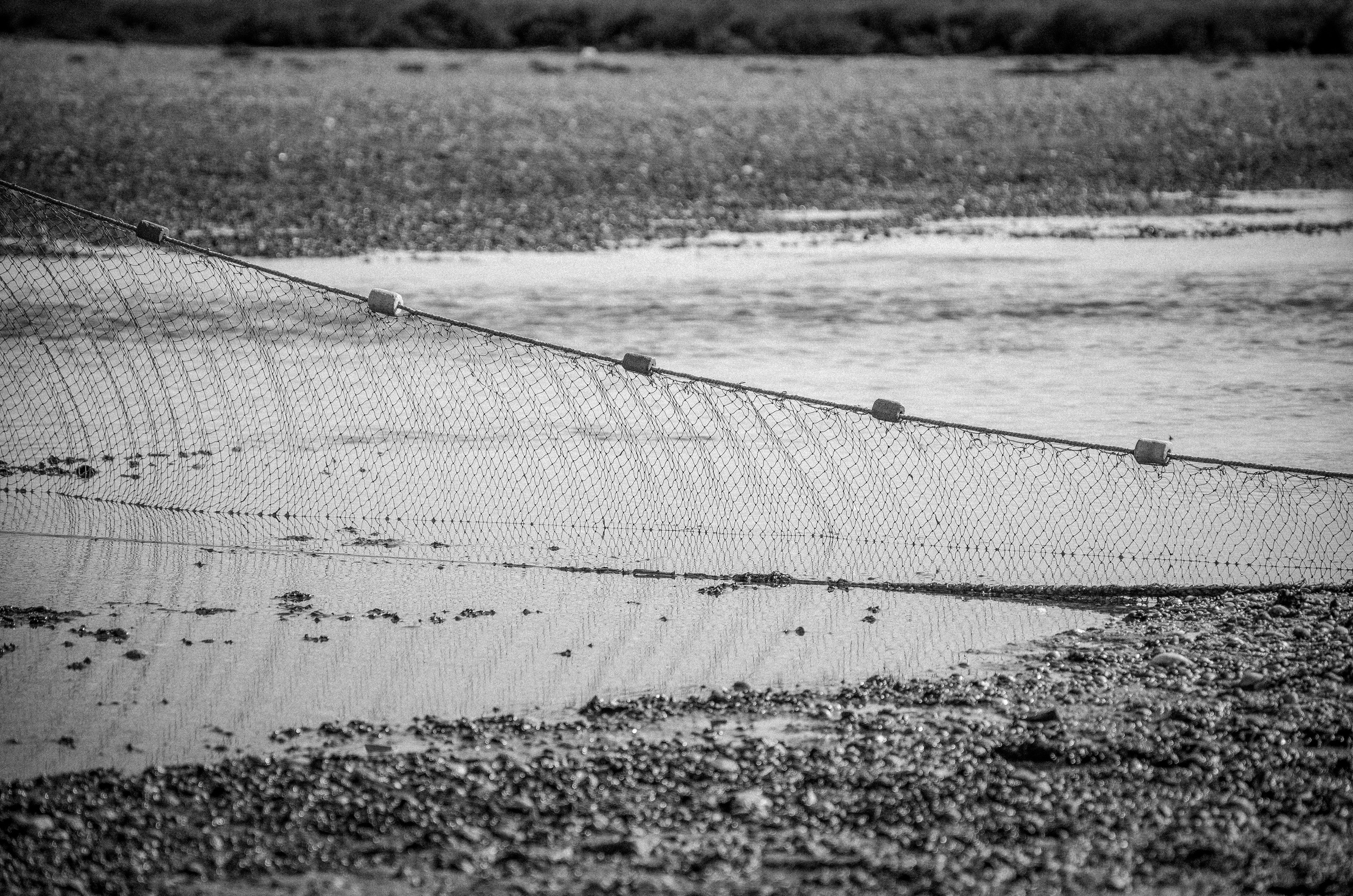 More More. Katerina Kiper Photography