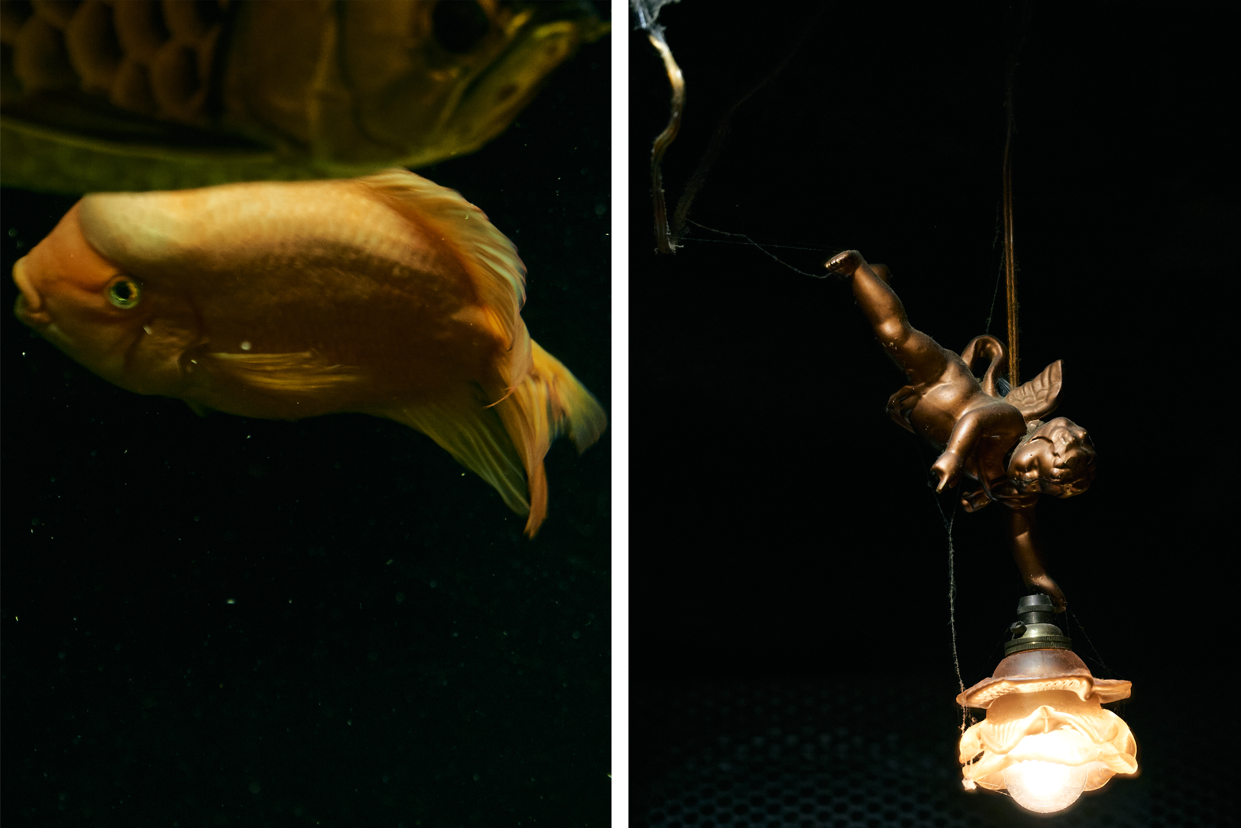 The Music Lovers. MT