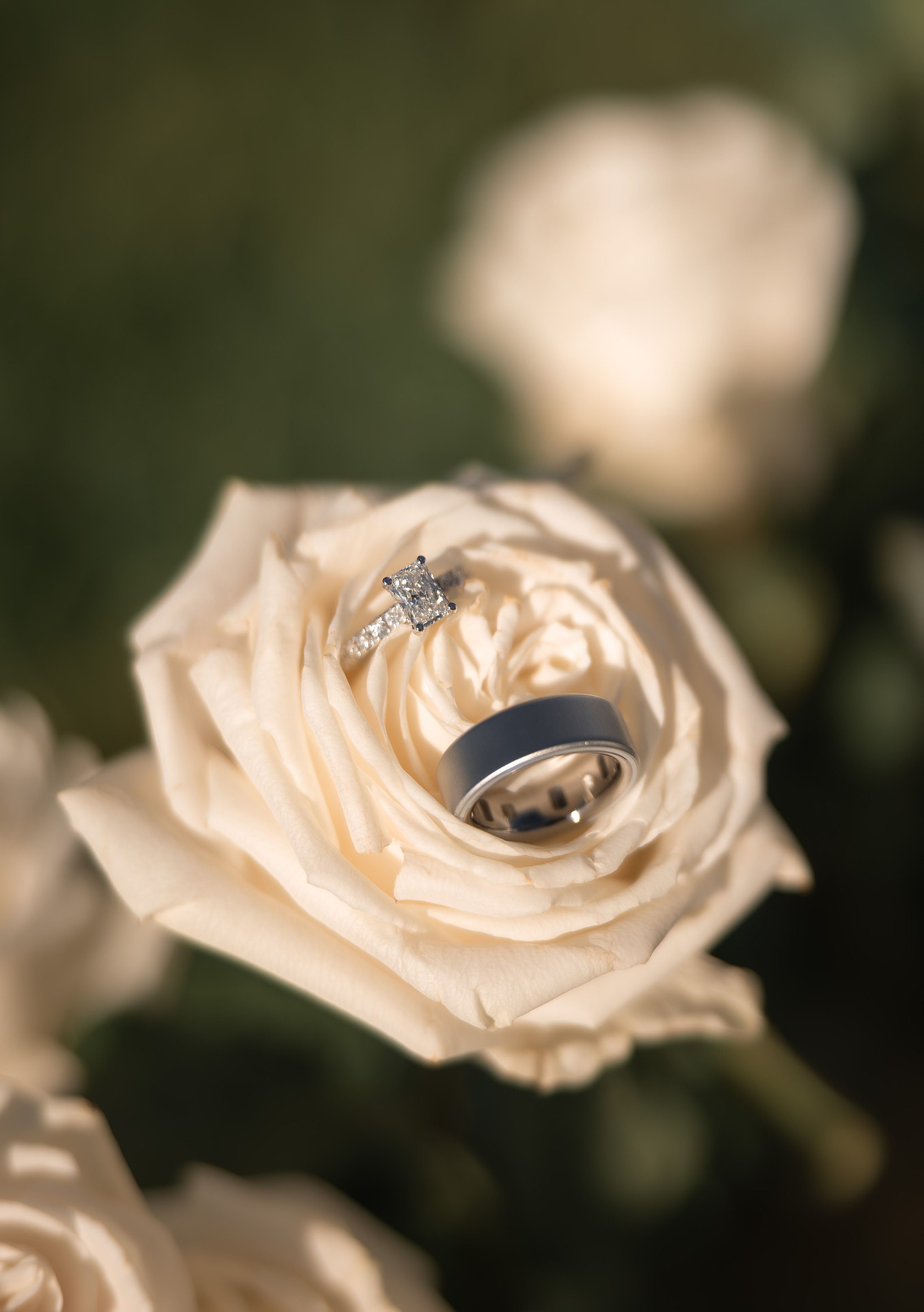 COUPLES. Couples & Families photographer in Bay Area, San Jose, California