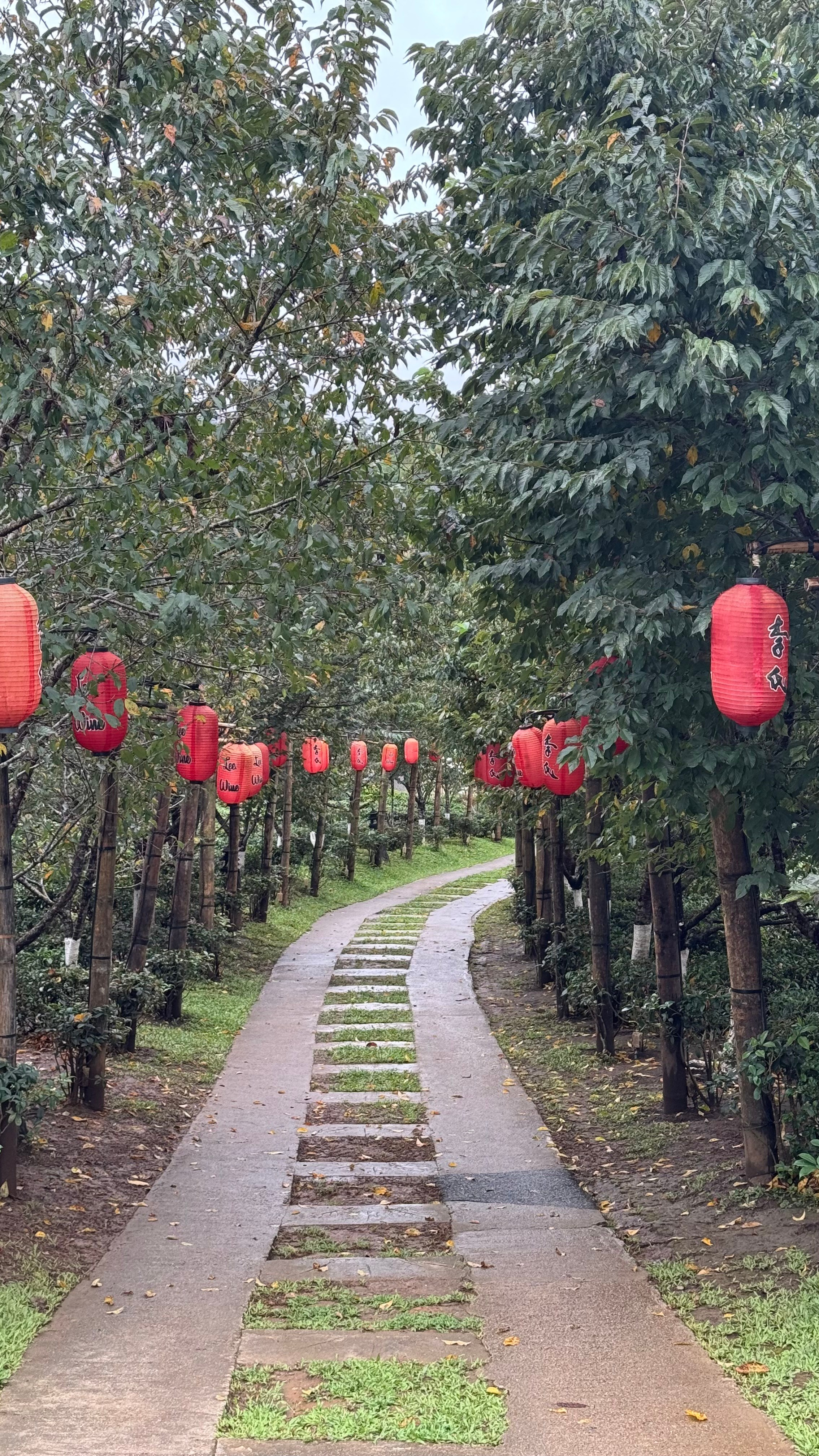 Совместное путешествие на север Таиланда. Женский клуб в Паттайе