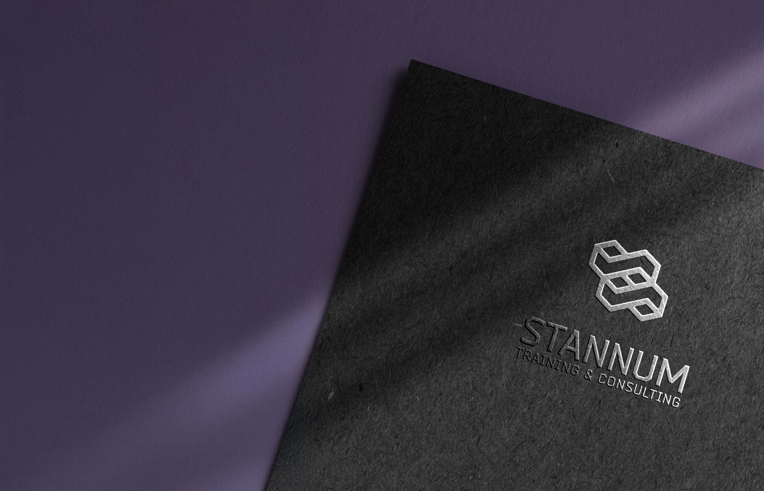 Business & Project Management. Stannum Training & Consulting