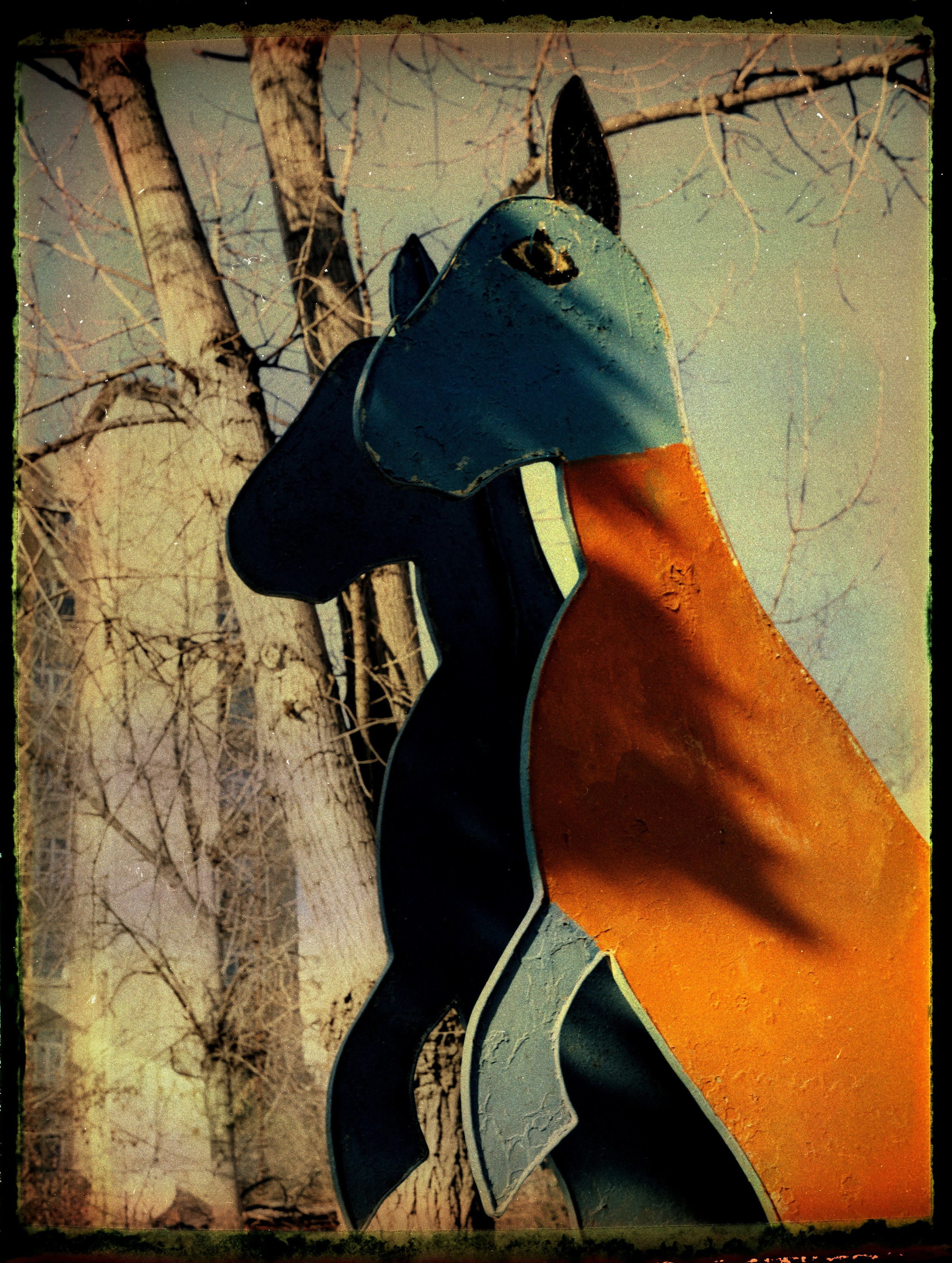 POLAROID. Www.sananaleskerov.com