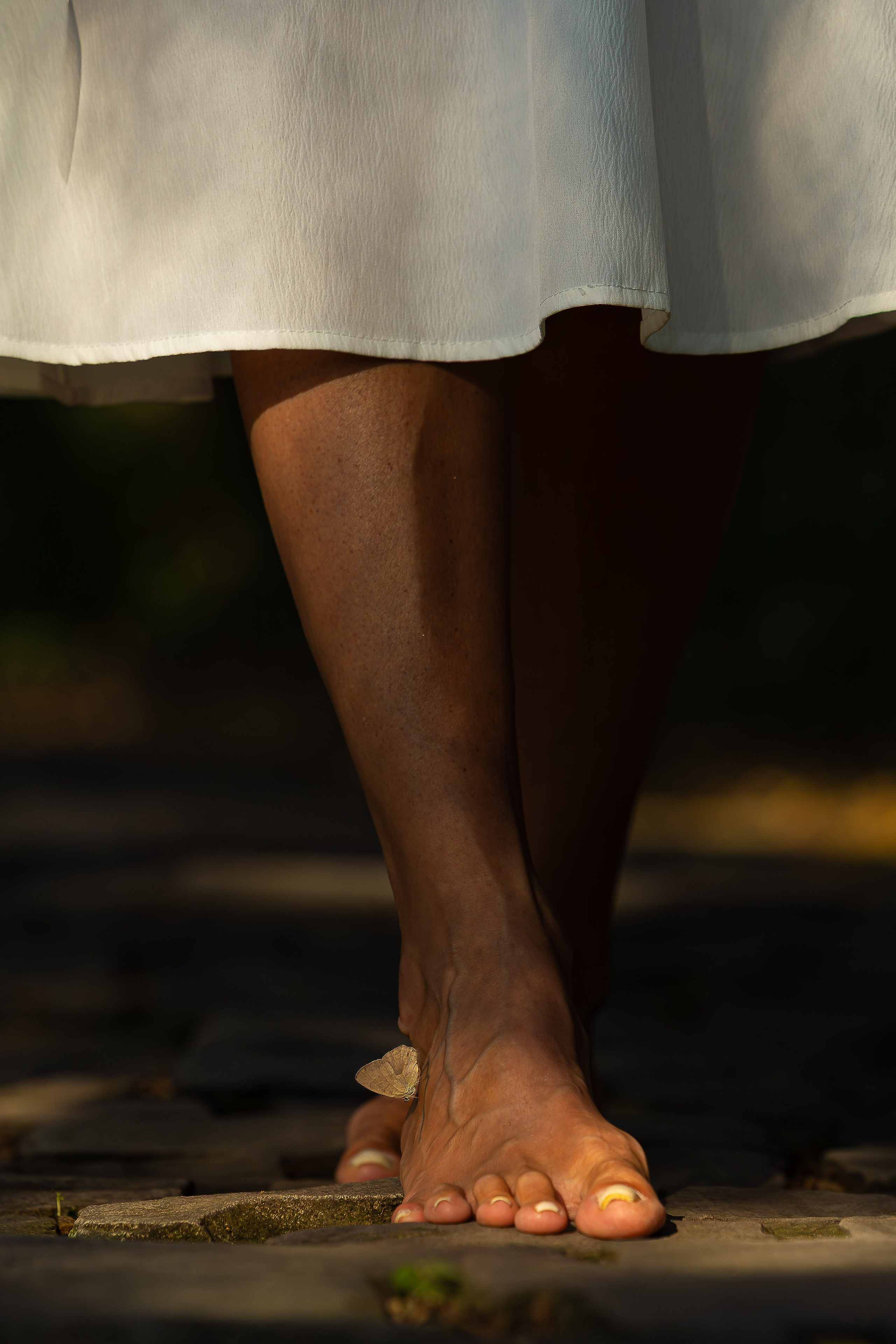 Essência e simplicidade