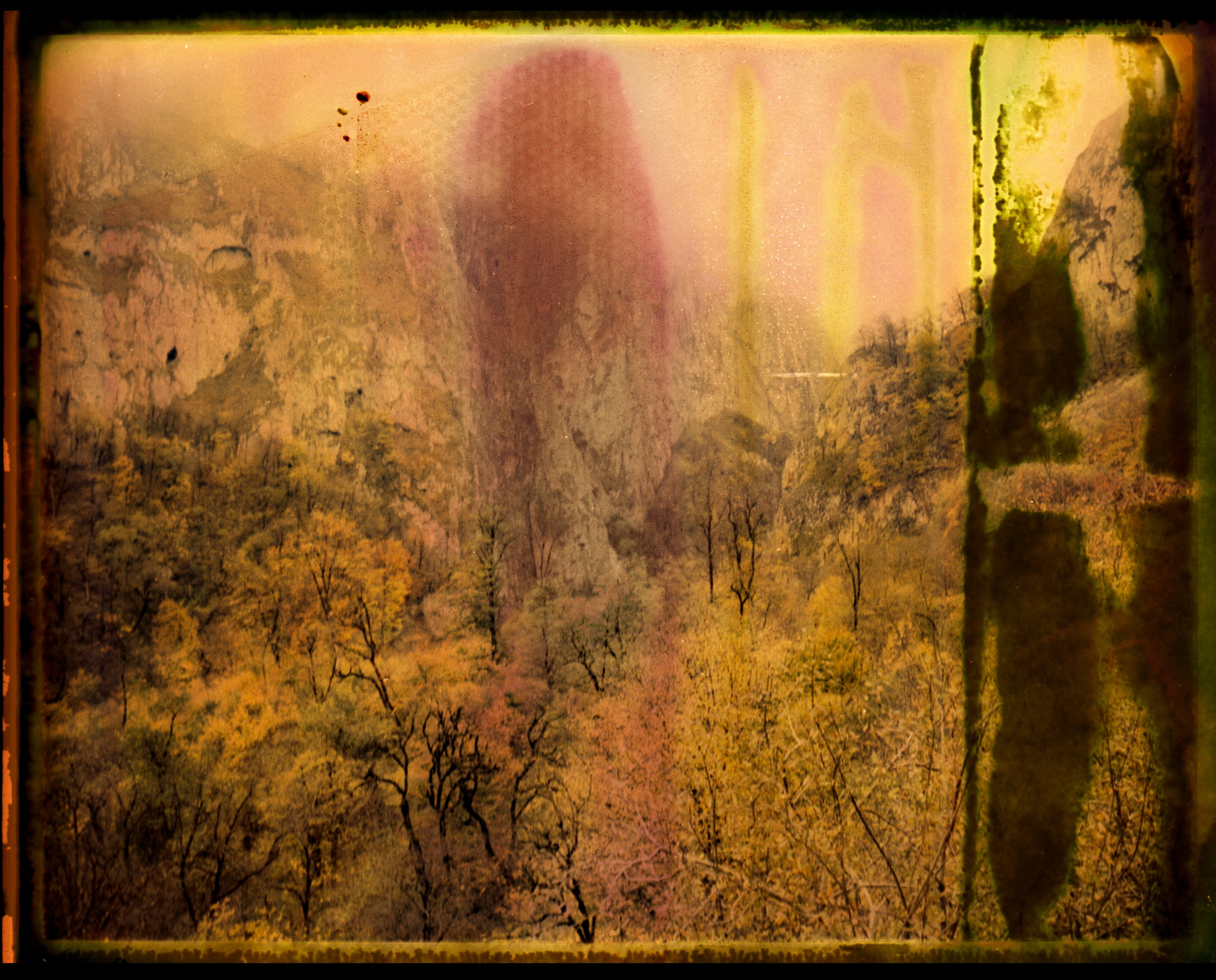 POLAROID. Www.sananaleskerov.com