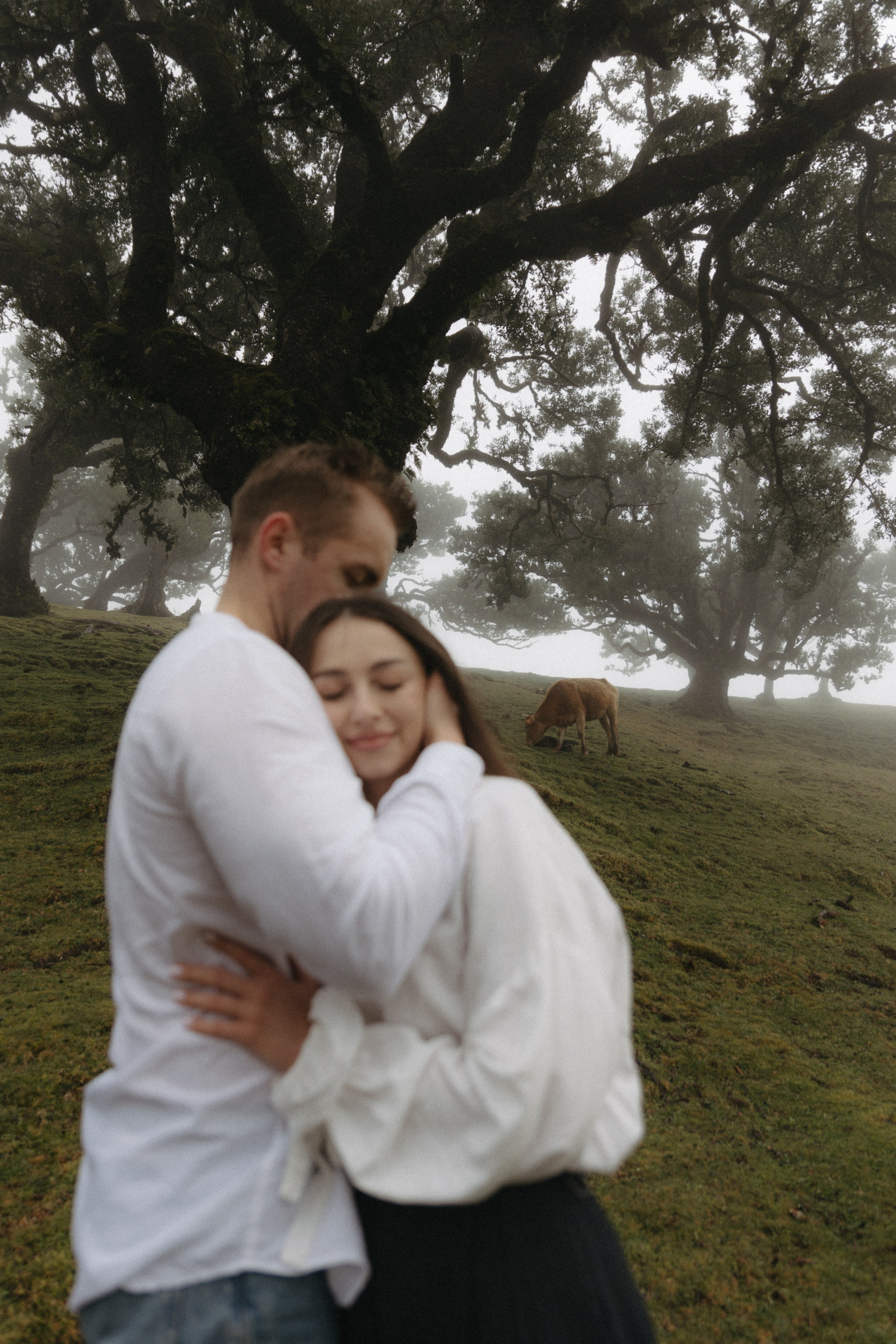 Magic of Fanal Forest. Wedding photographer and videographer based in Timisoara, Romania